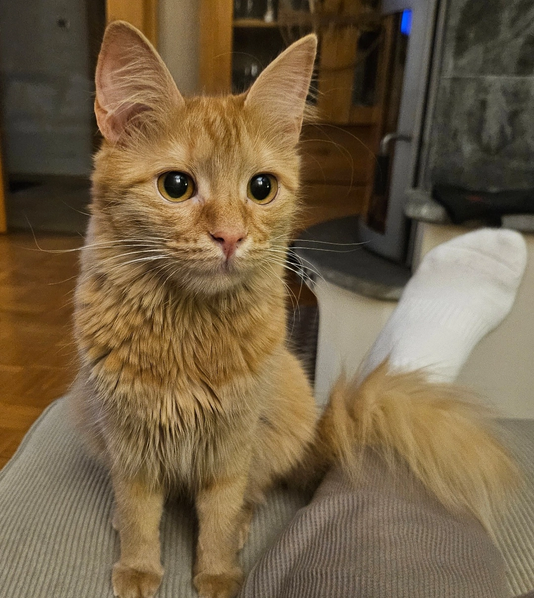 Frieda - Paul-Schneider-Straße, Dickenschied