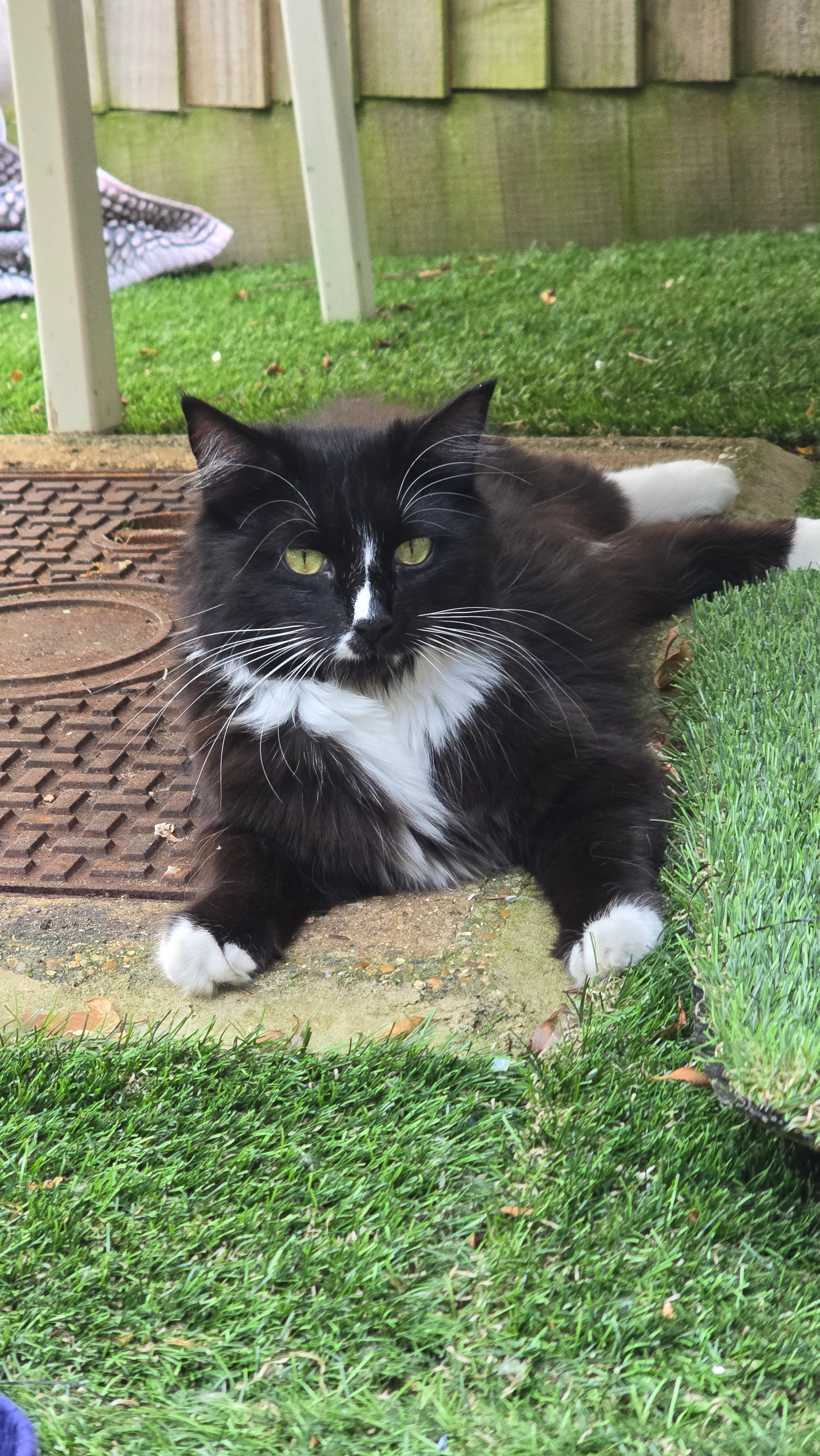 Mila - GU3 3, Guildford