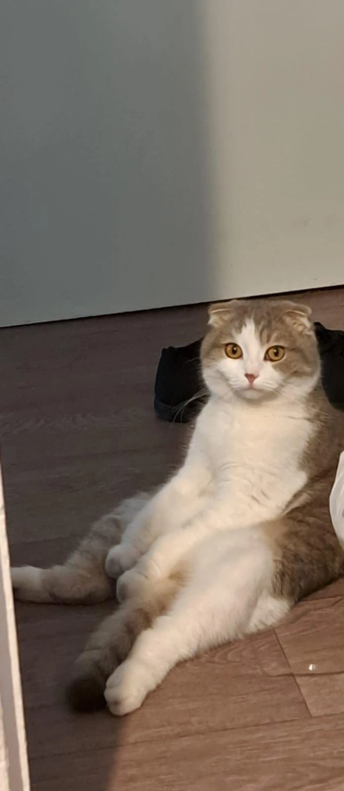 Mimi - Allée Marie Laurencin, Lingolsheim