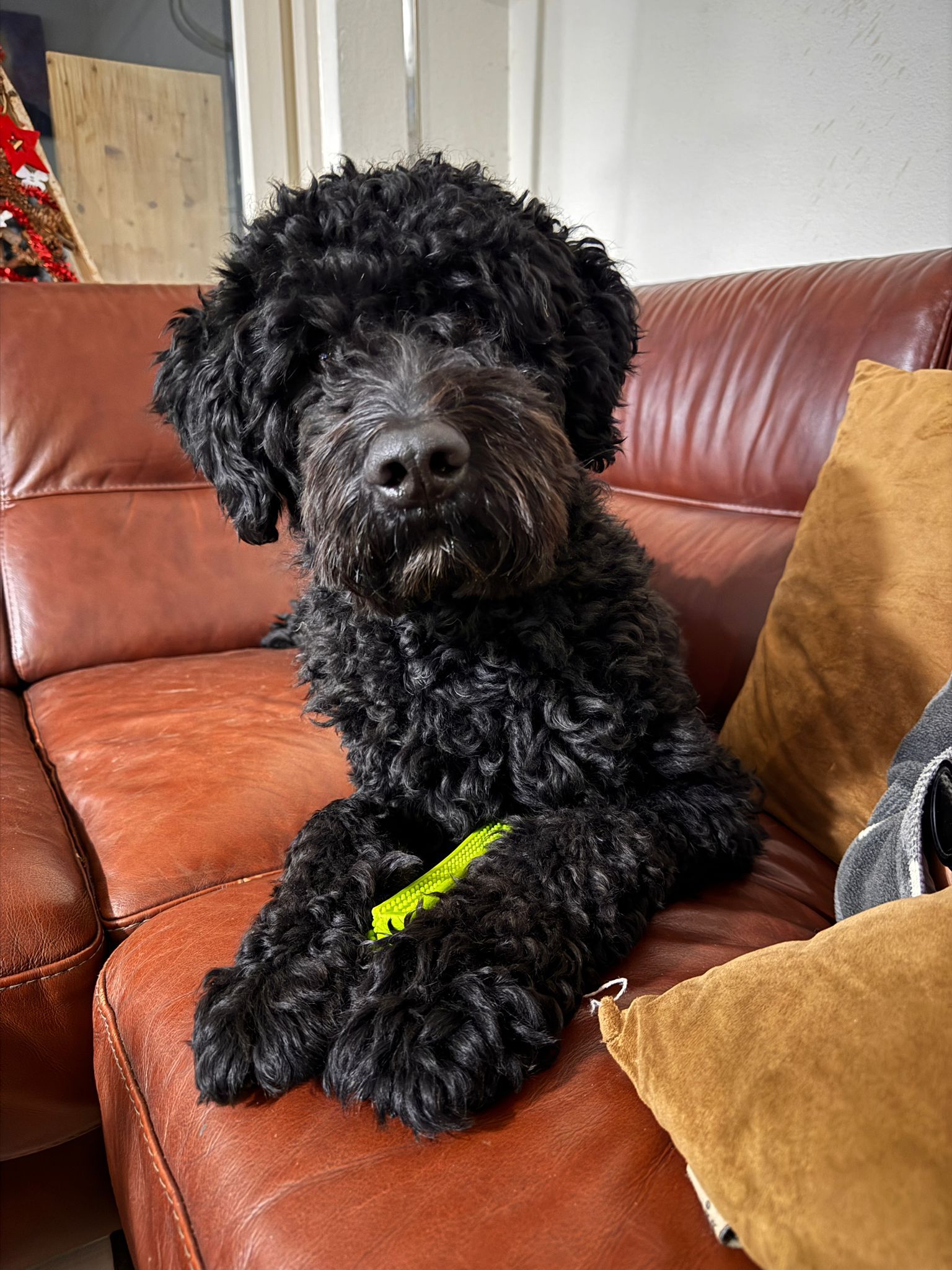 Gijs - Empel, 's-Hertogenbosch