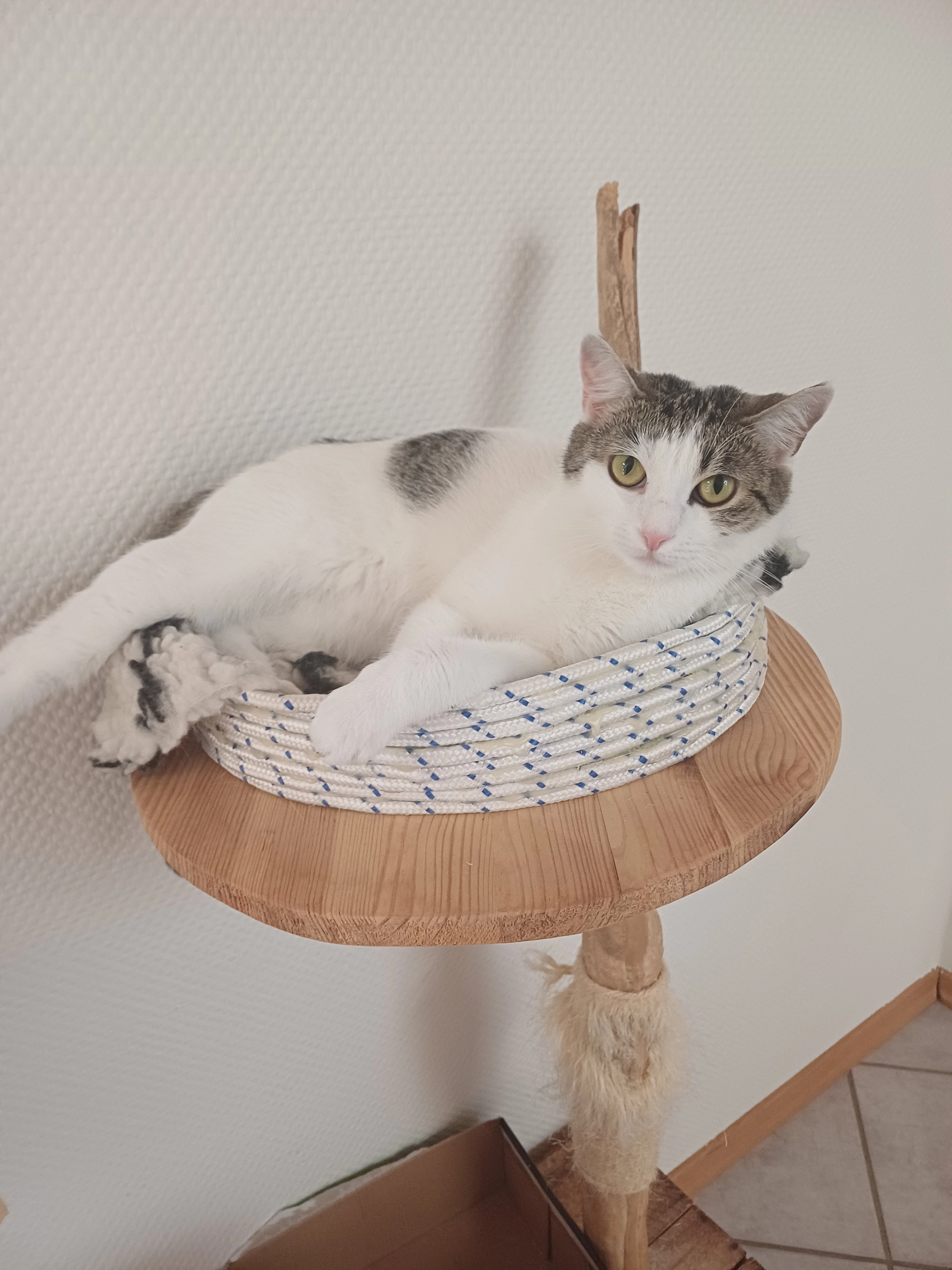 Moly - Am Brölbahnhof, Waldbröl