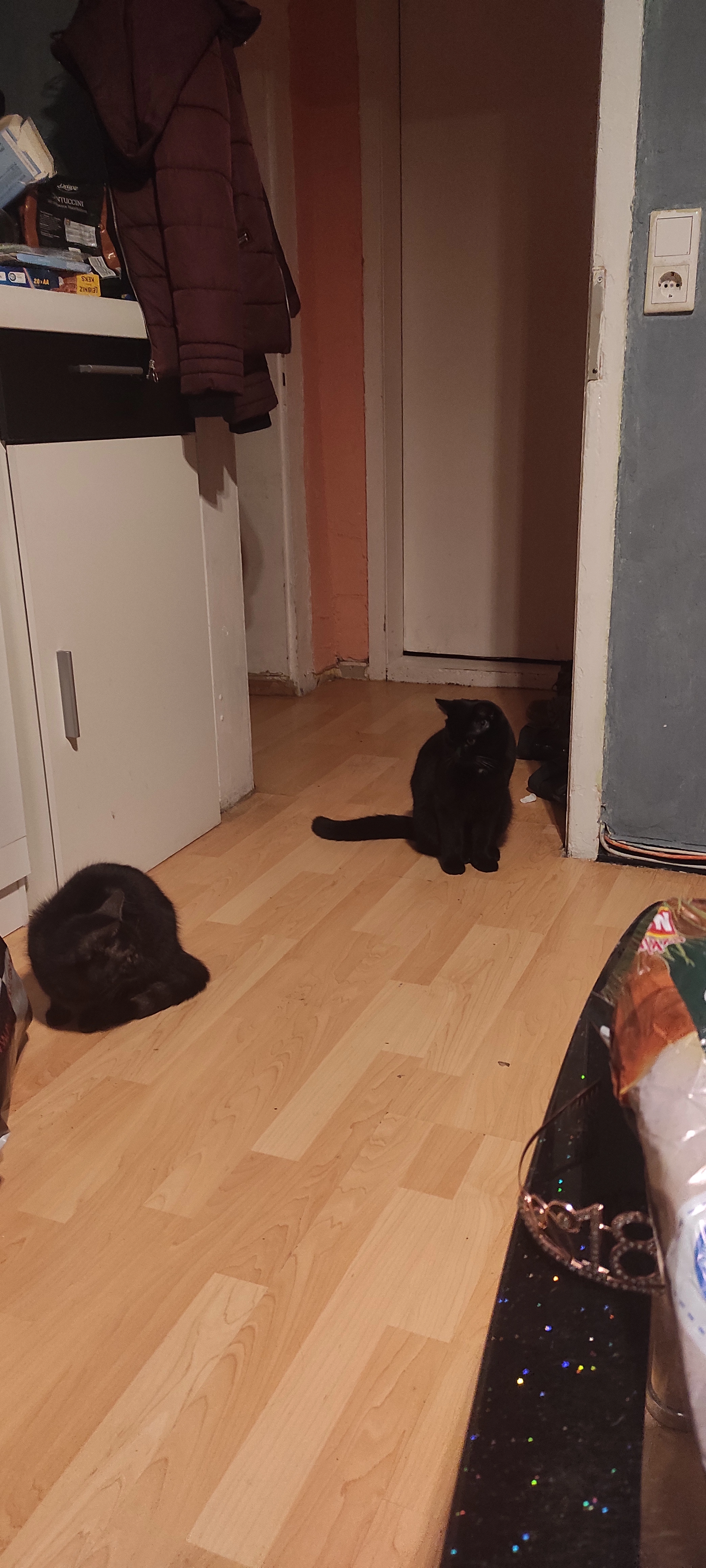 Emilio - Tütersburg, Wuppertal