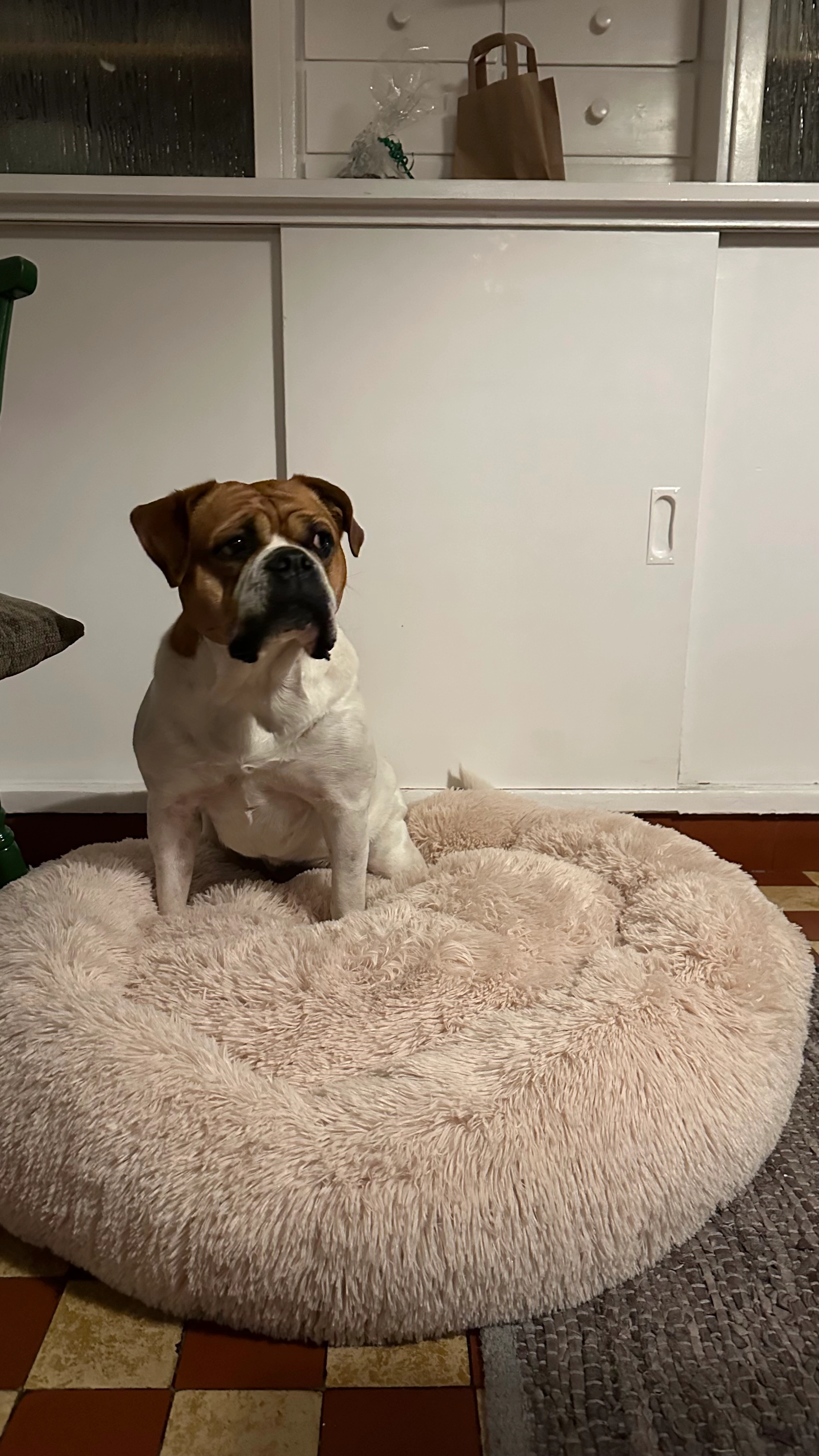 Charlie - Hörder Phoenixseeallee, Dortmund