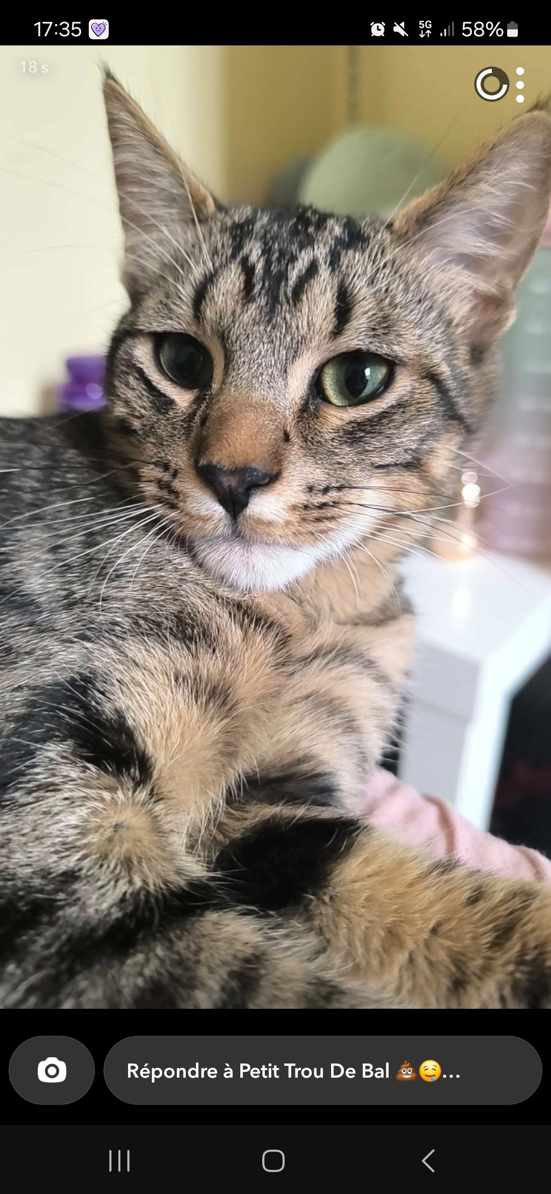 Potinini - 15 Avenue Jean Jaurès, Dijon