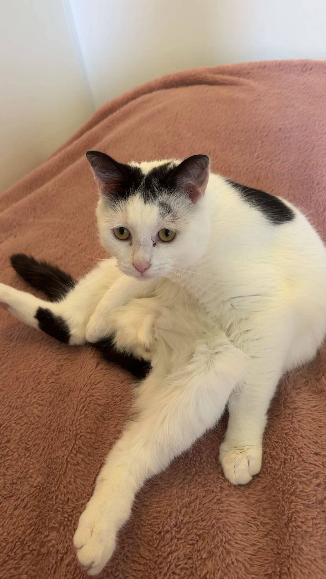 Sasha - Prins Bernhardstraat, Zoutkamp