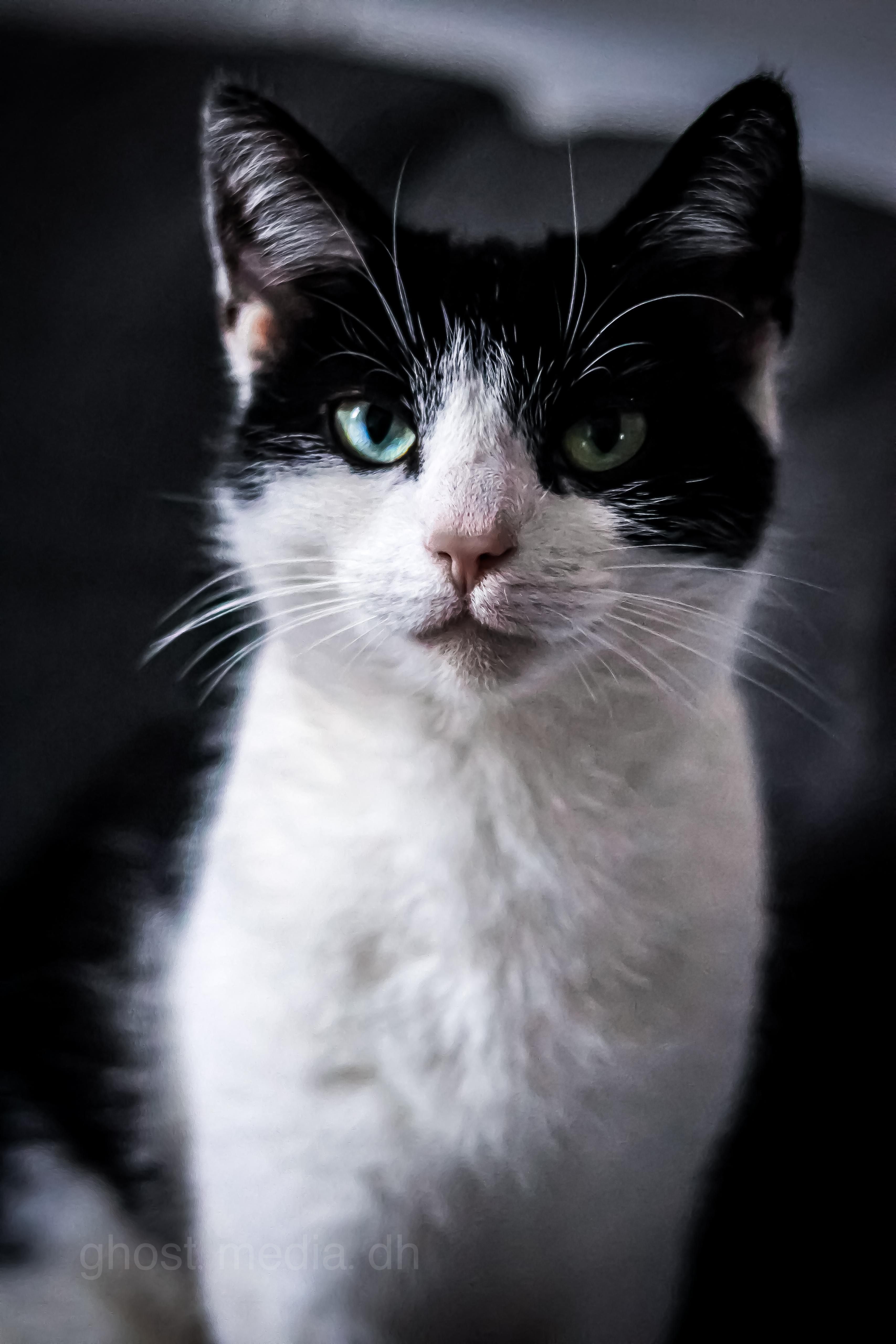 Luna - Kreuzacker, Barnstorf