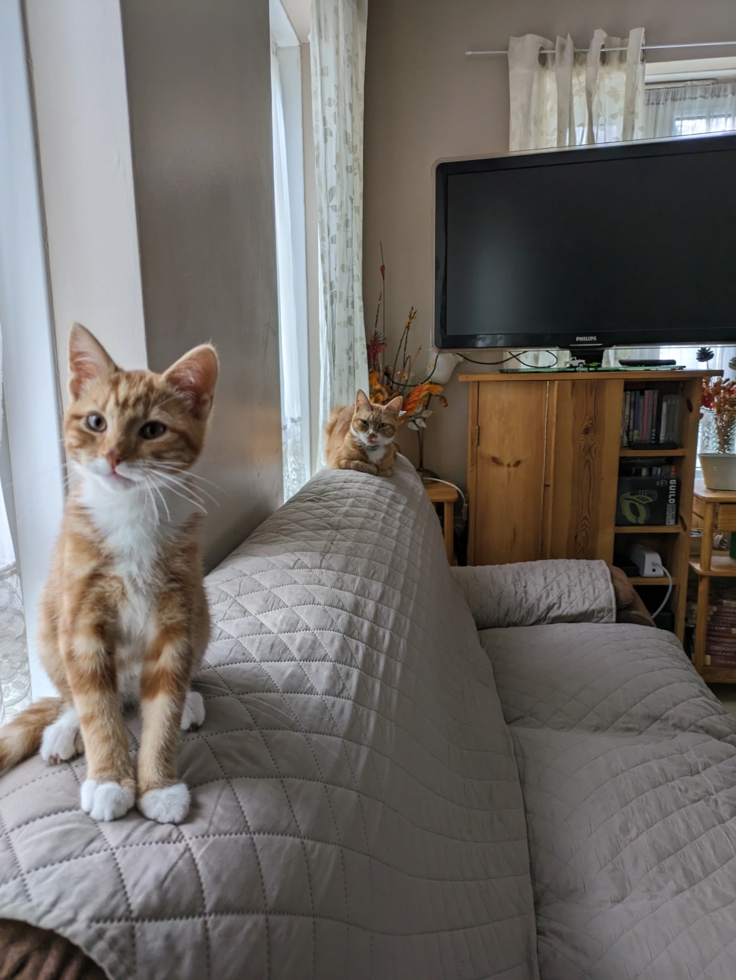 Hercules - 2 pine avenue E15 1UL, London