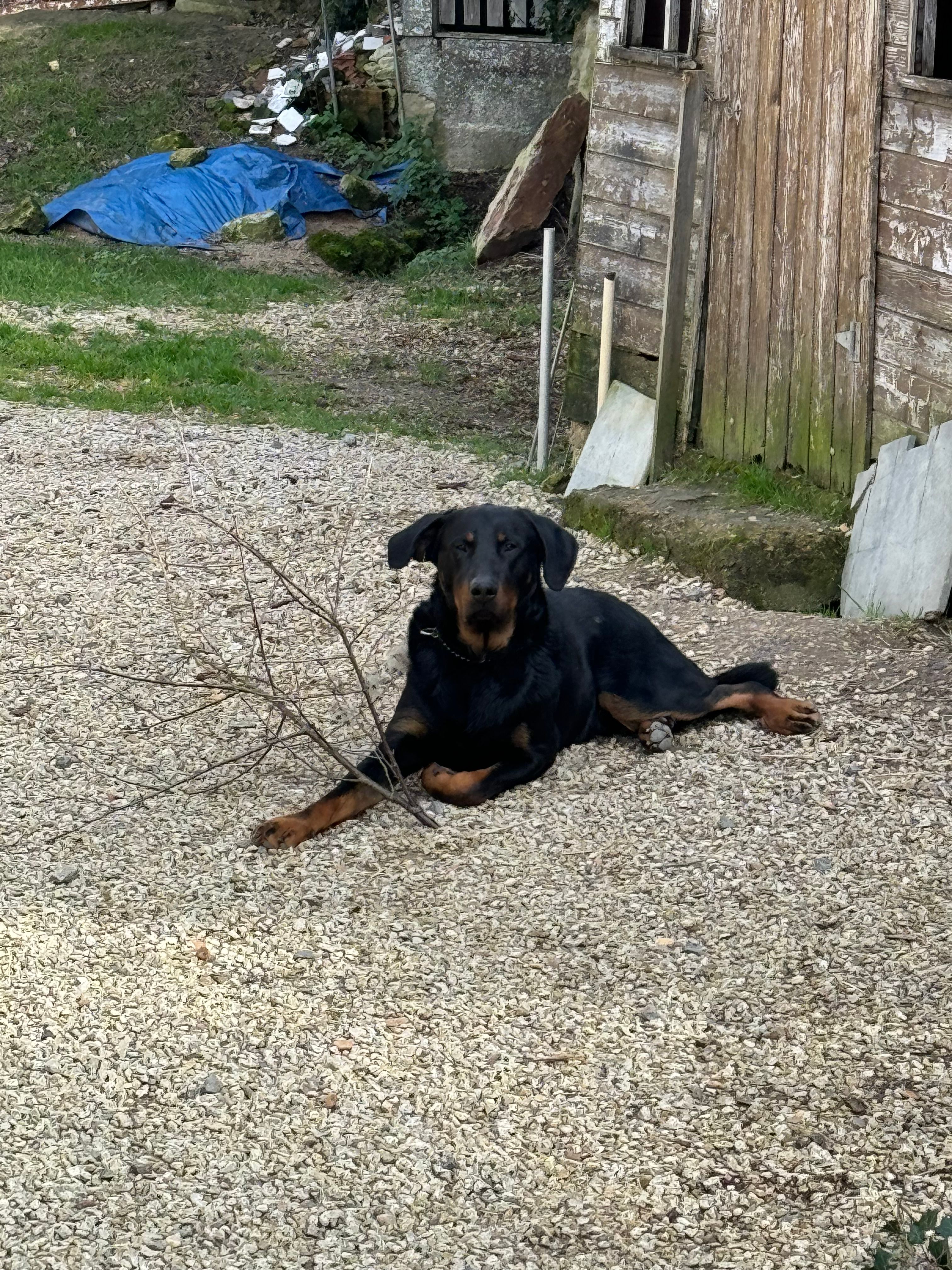 Totem - Rue De La Perroterie, Colombiers