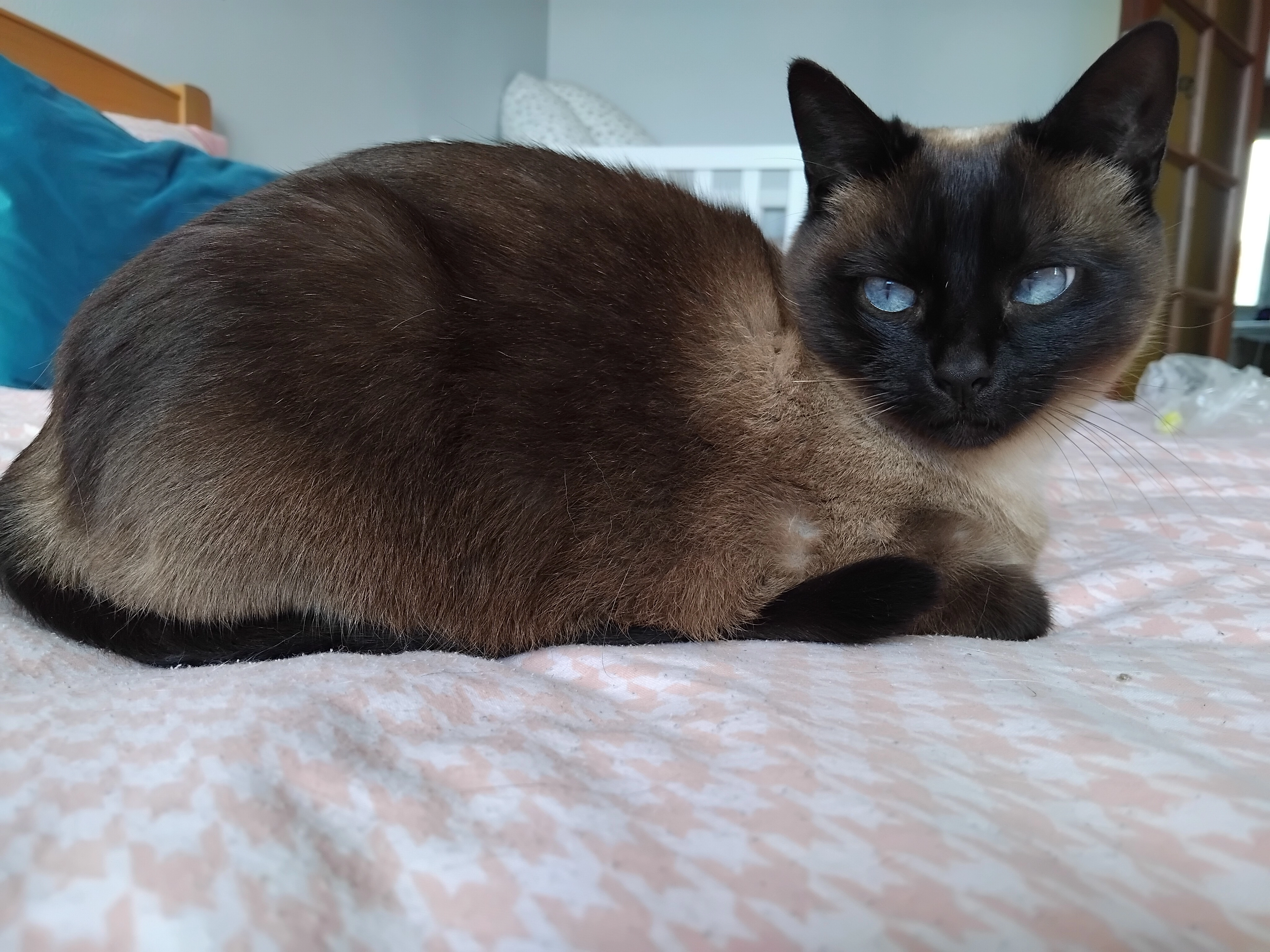 Agnes - Calle del Carmen, Vilagarcía de Arousa