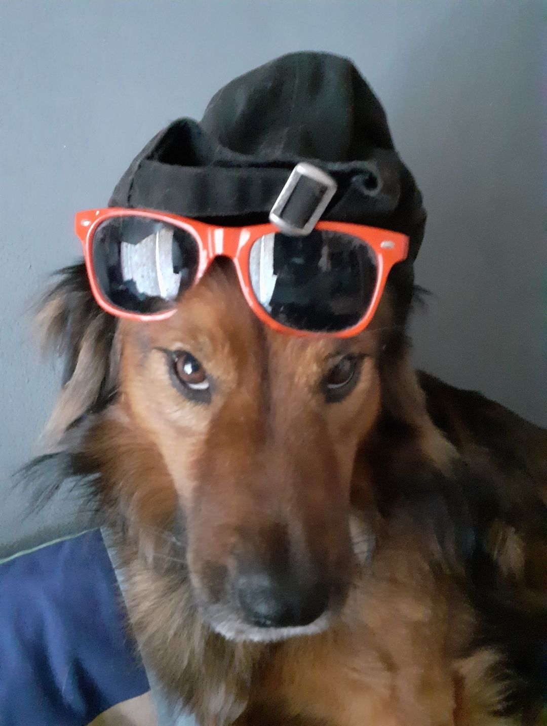 Charlie - Vojenova, Prague