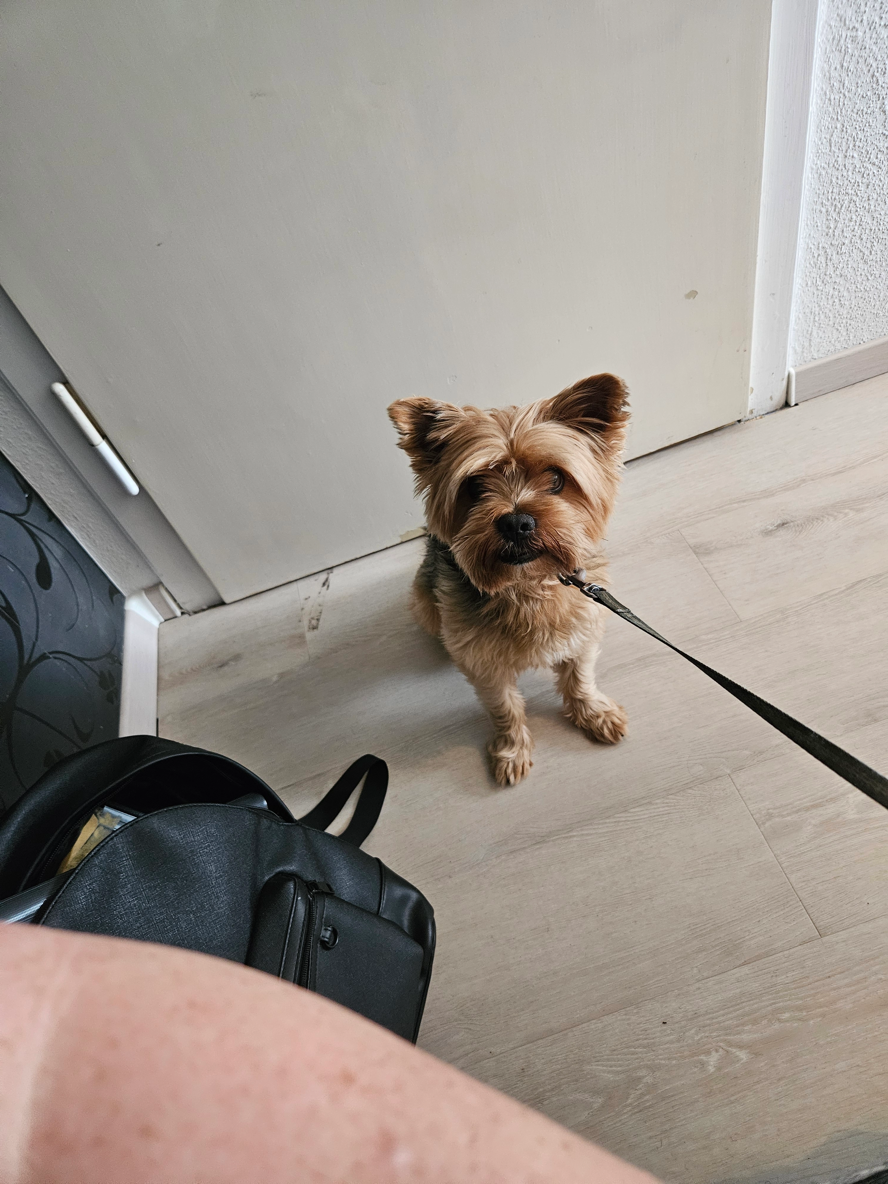 Keks - Friedrich-Schiller-Straße, Meßstetten