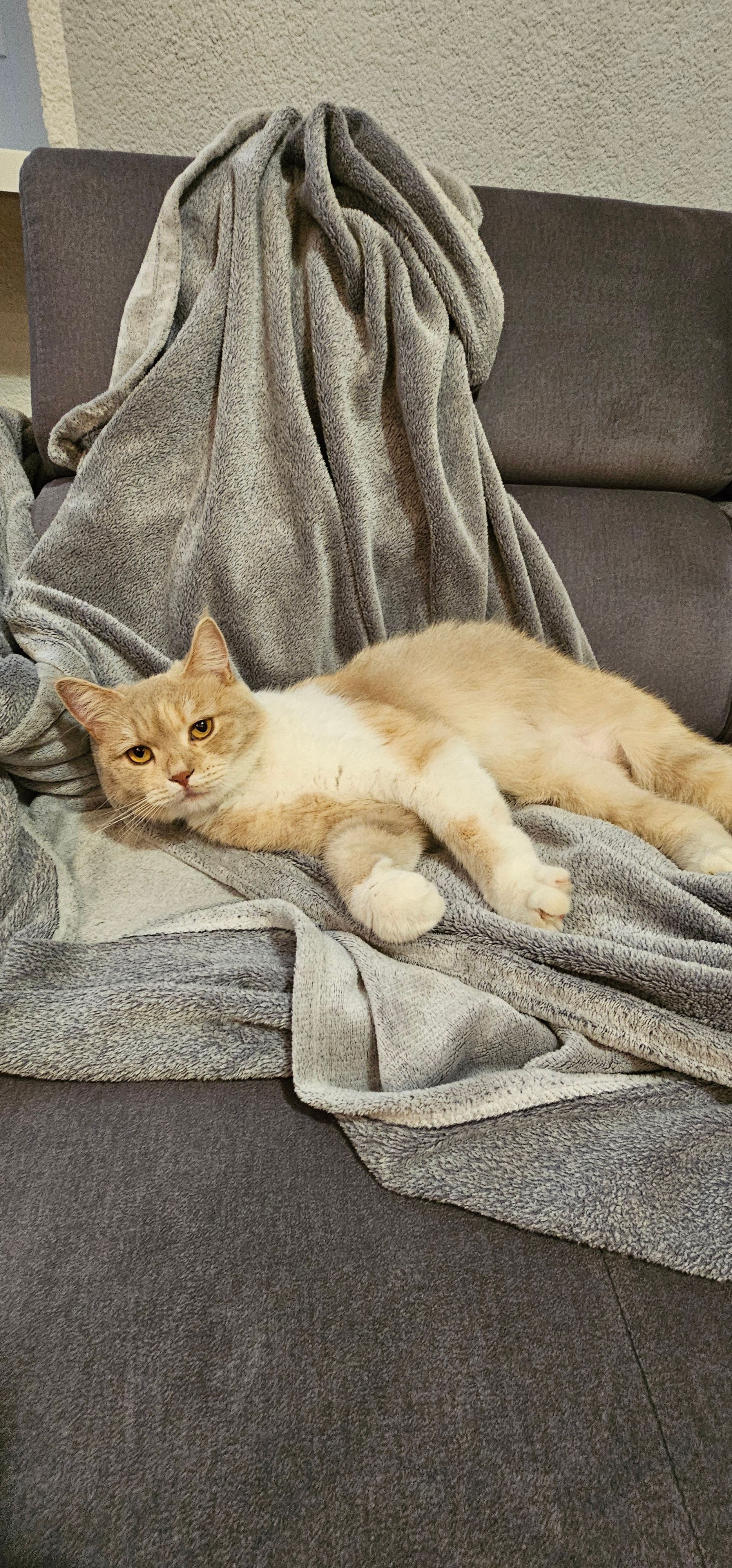 Lise - Untere Hauptstraße, Kippenheim