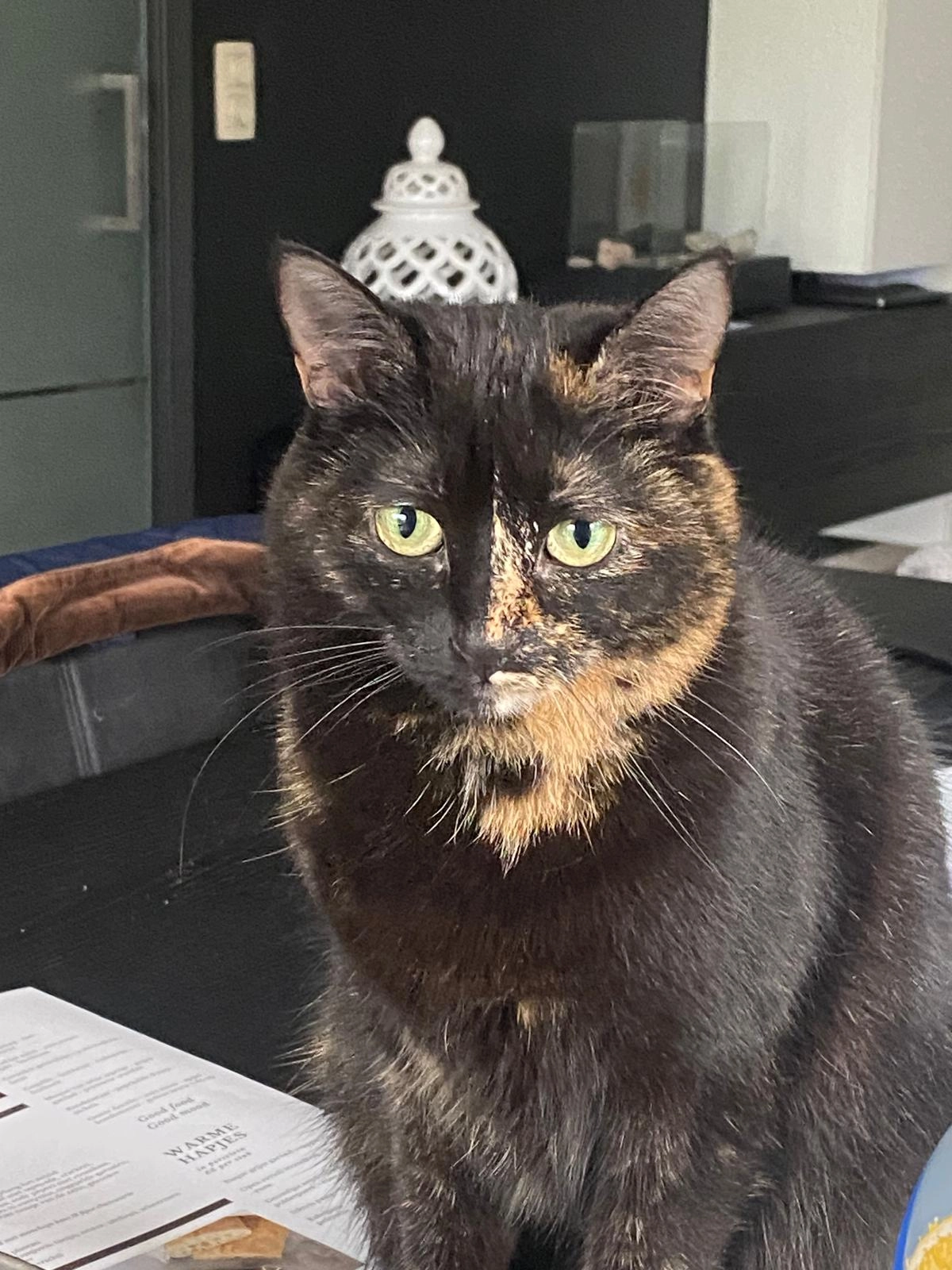 Isis - Holdestraat 12, Tielt