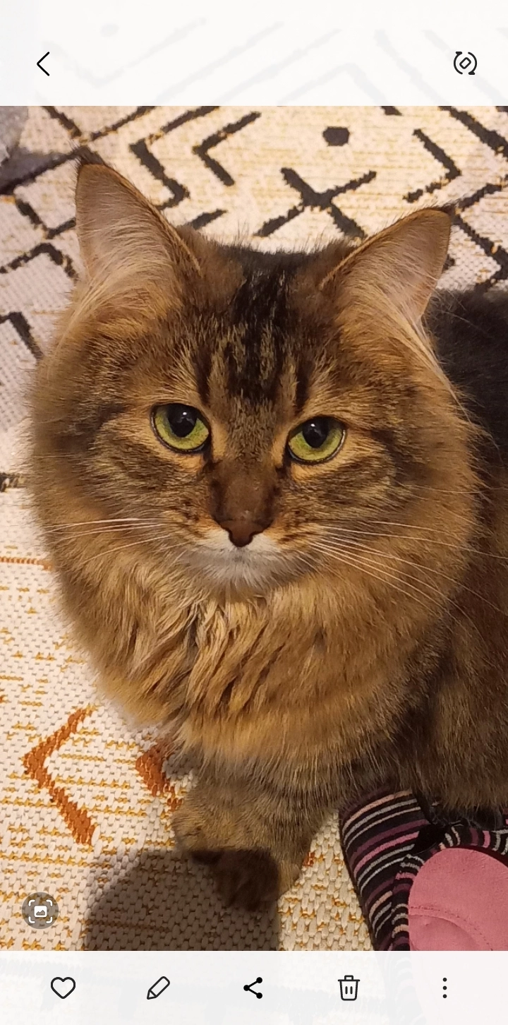 Lucy - Rue du Brésil, Villers-la-Ville