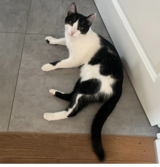 Milo - Forststraße, Moosburg an der Isar