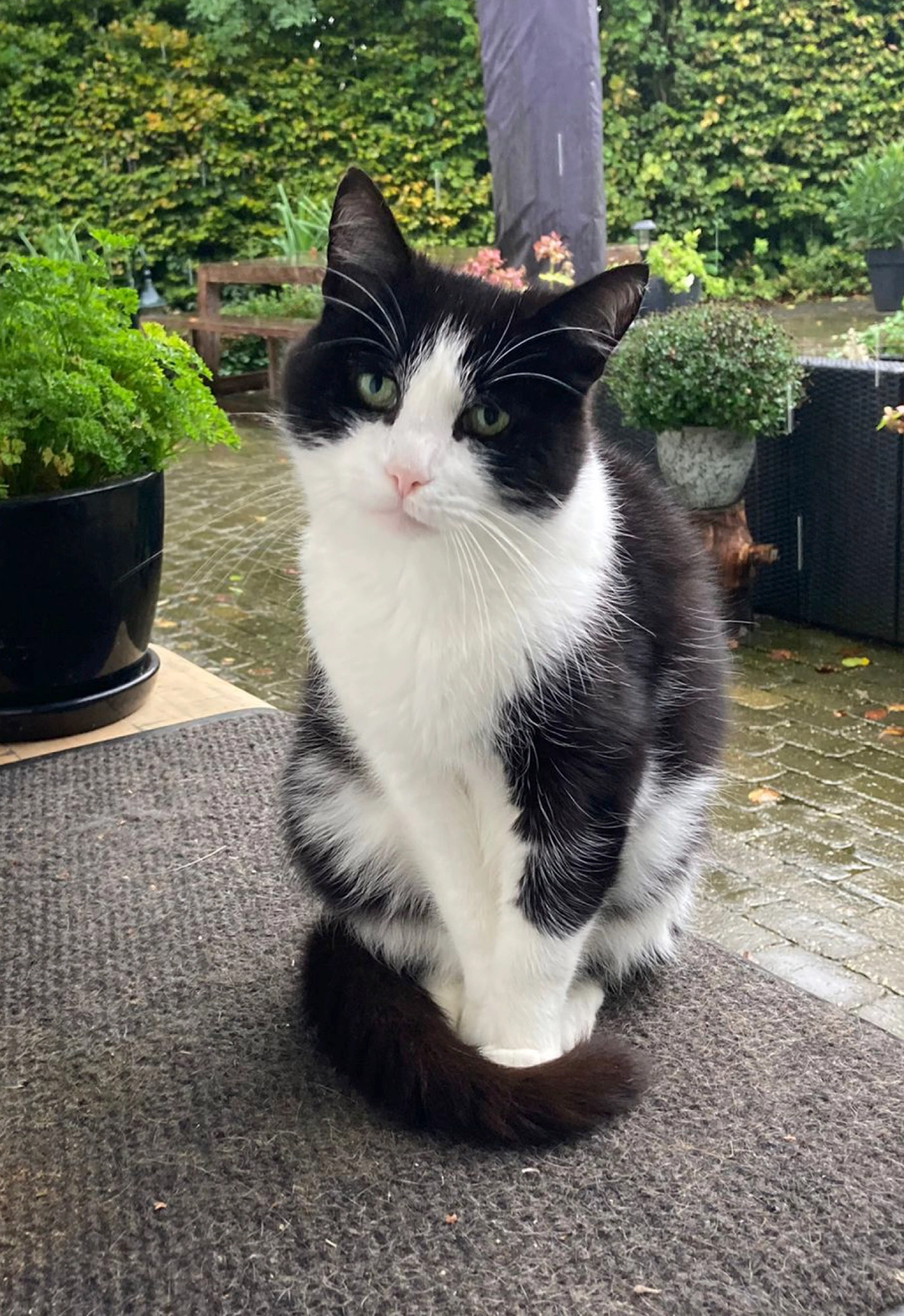 James - Alphensebaan, Chaam