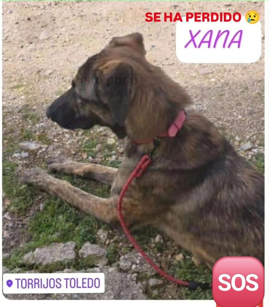 Xana - Camino Natural Del Tajo - Gr 113, Albarreal de Tajo