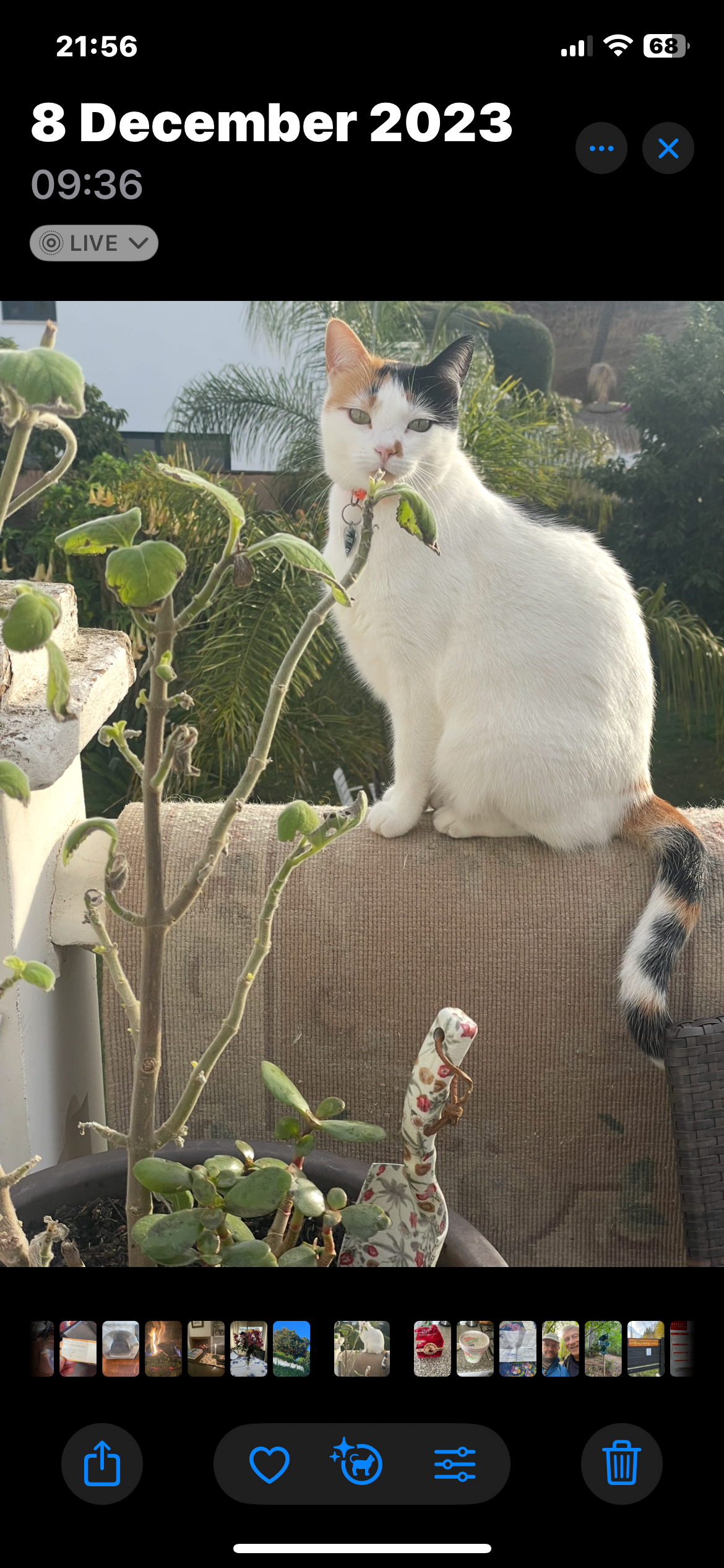 Mimi - Calle de Juan Belmonte, Marbella