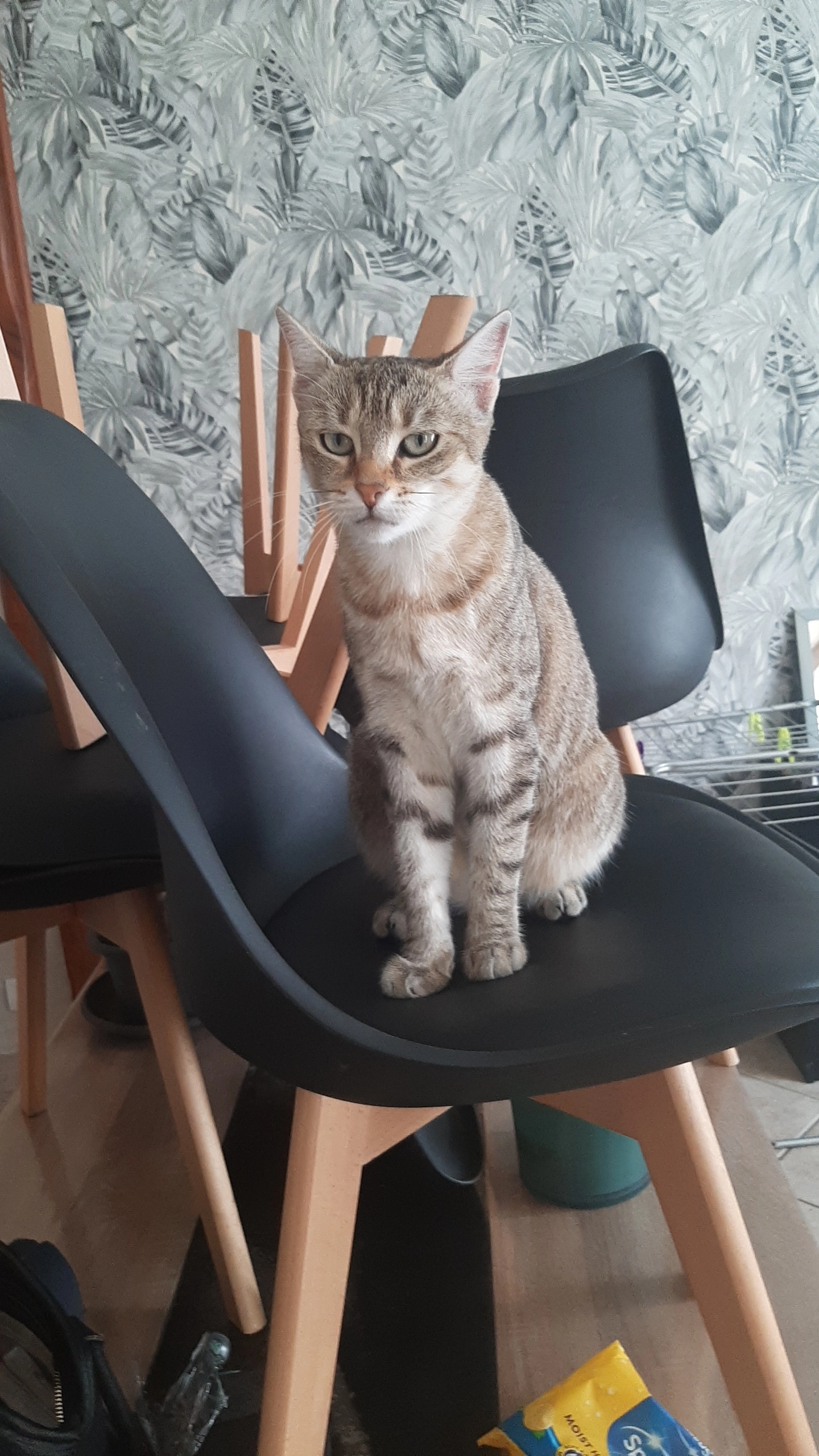 Nyx - 1 Rue Charles Hennecart, Montluçon