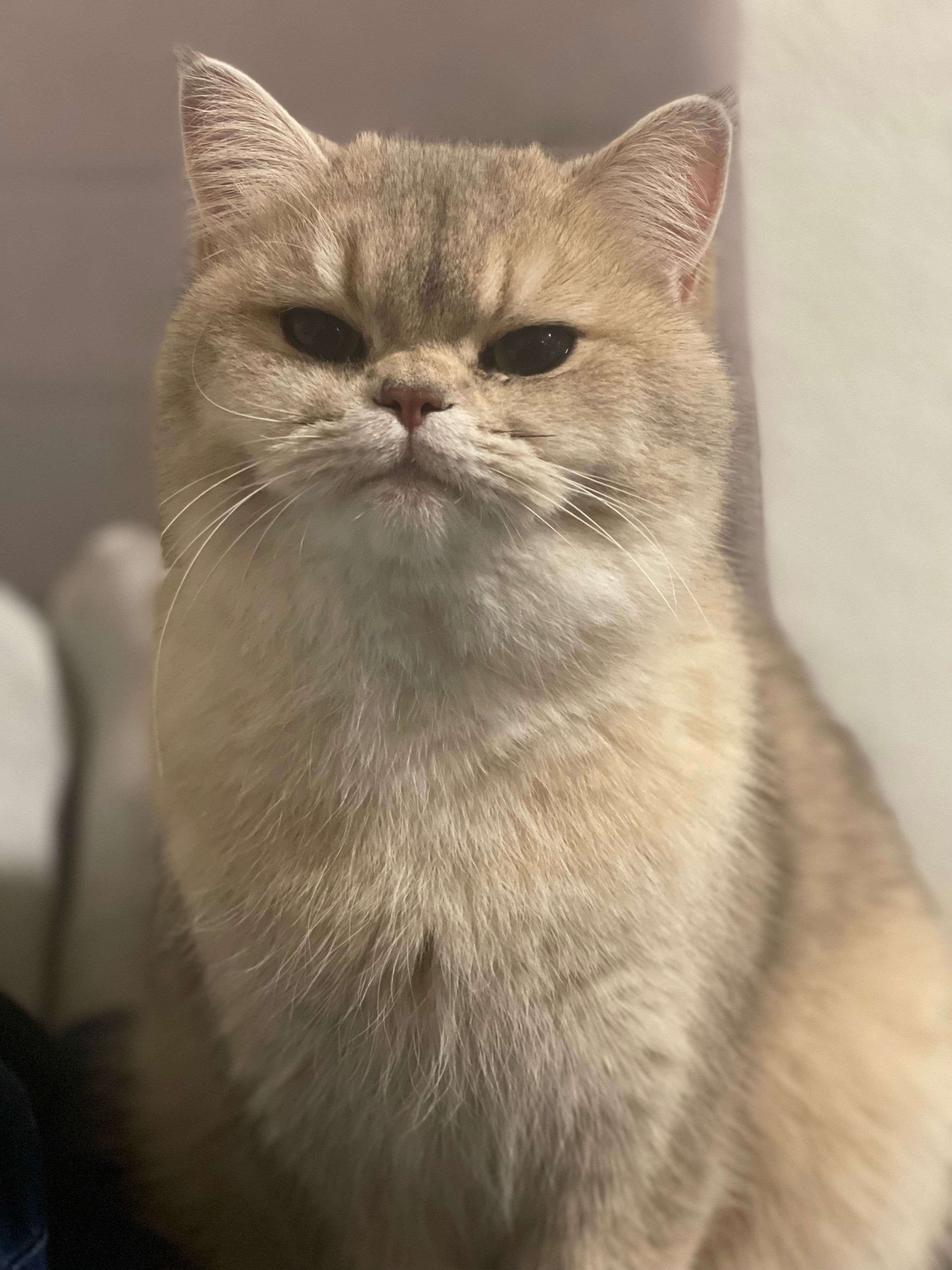 Bela - Breubergstraße, Höchst im Odenwald