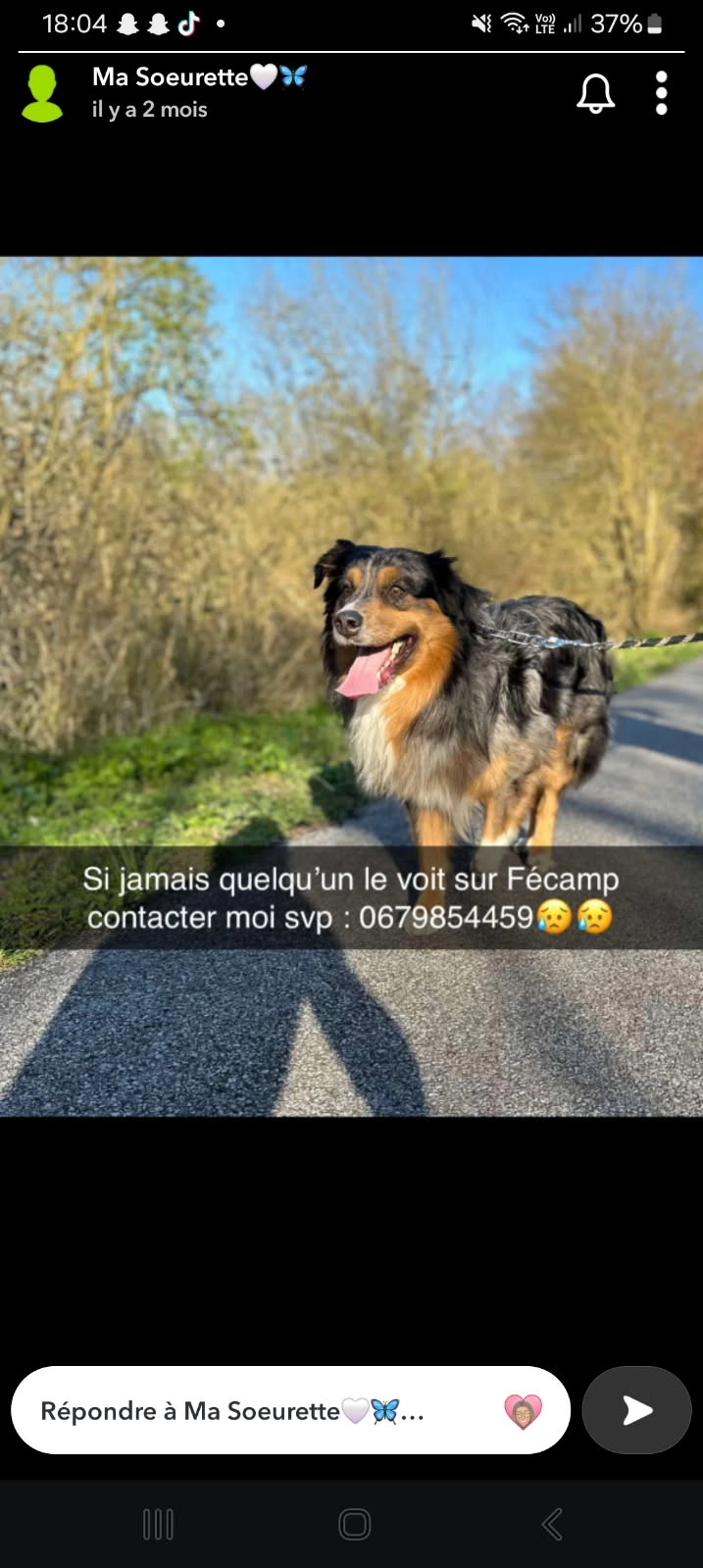 Scooby - 147 Rue du Président René Coty, Fécamp