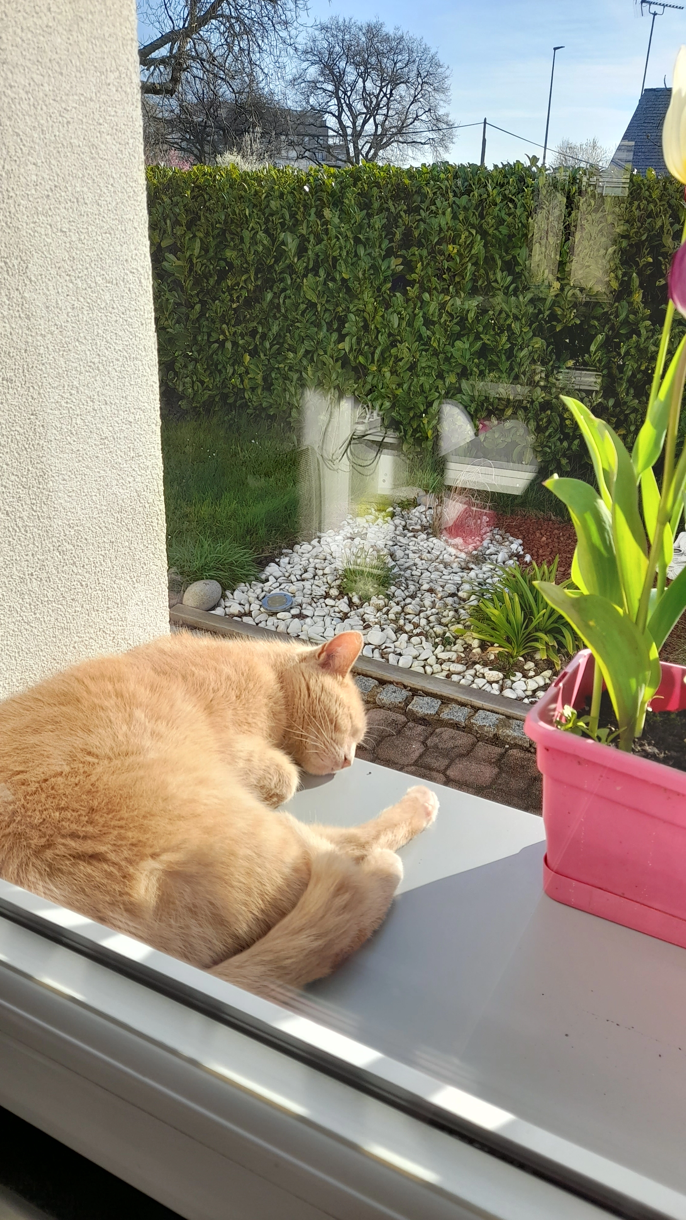 maya - Promenade de Chézine, Saint-Herblain
