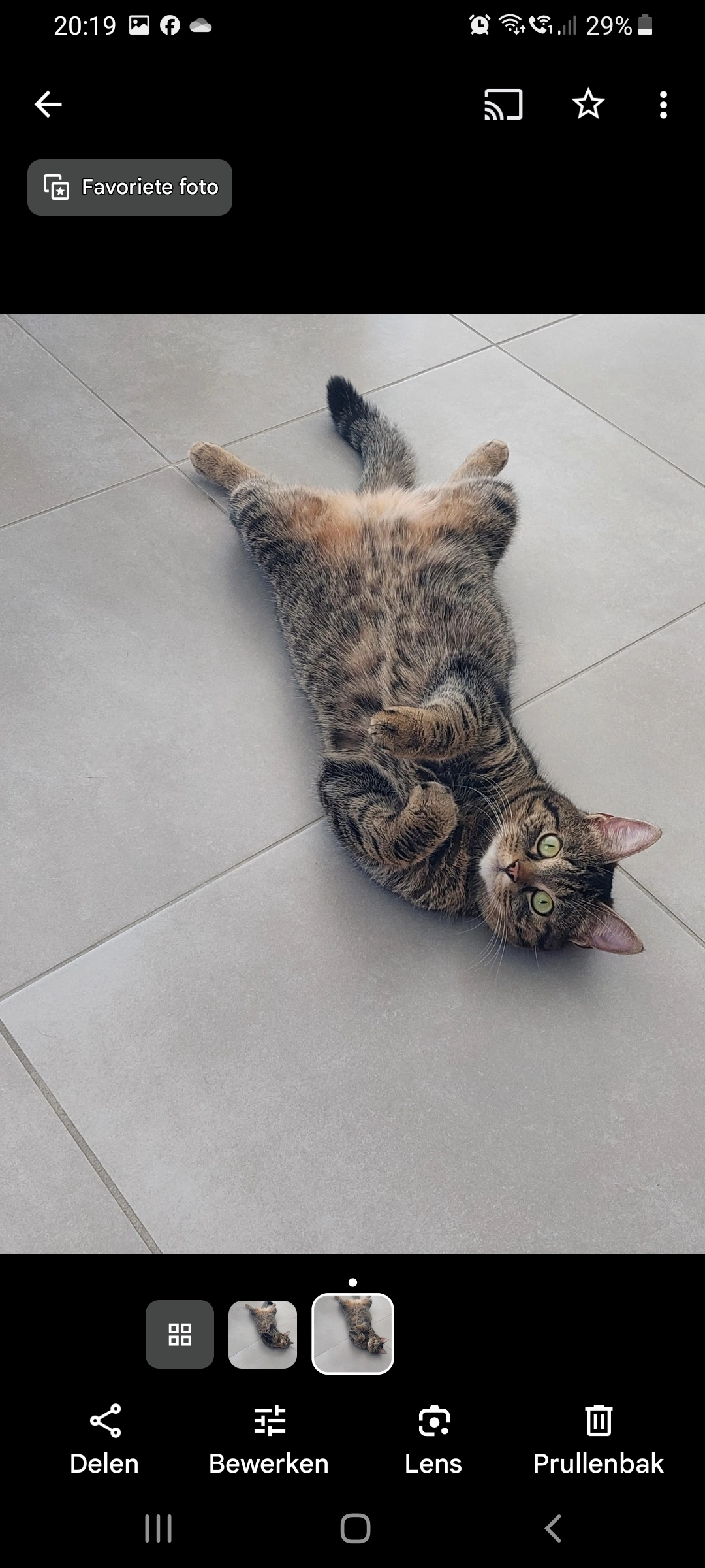 Lilou - Nieuwstraat, Sint-Laureins