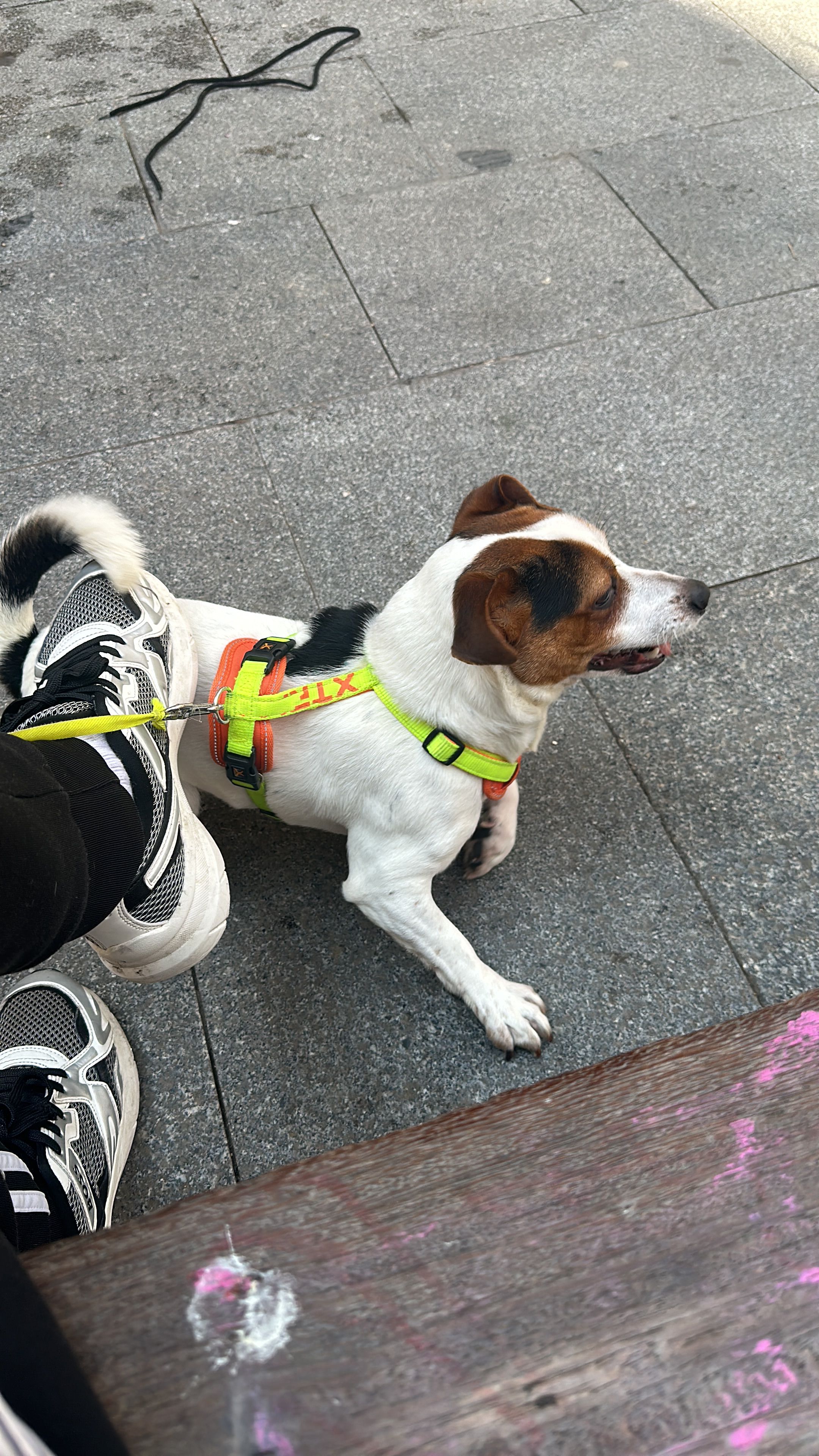 RUFUS - Carrer de Jaume Giralt 47, Barcelona