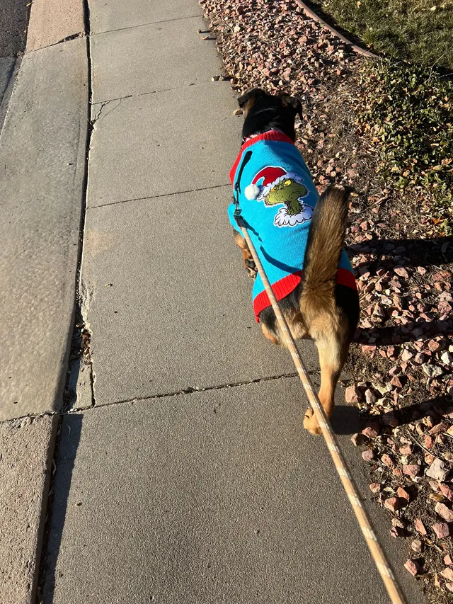 Luna - Sinton Avenue, Colorado Springs