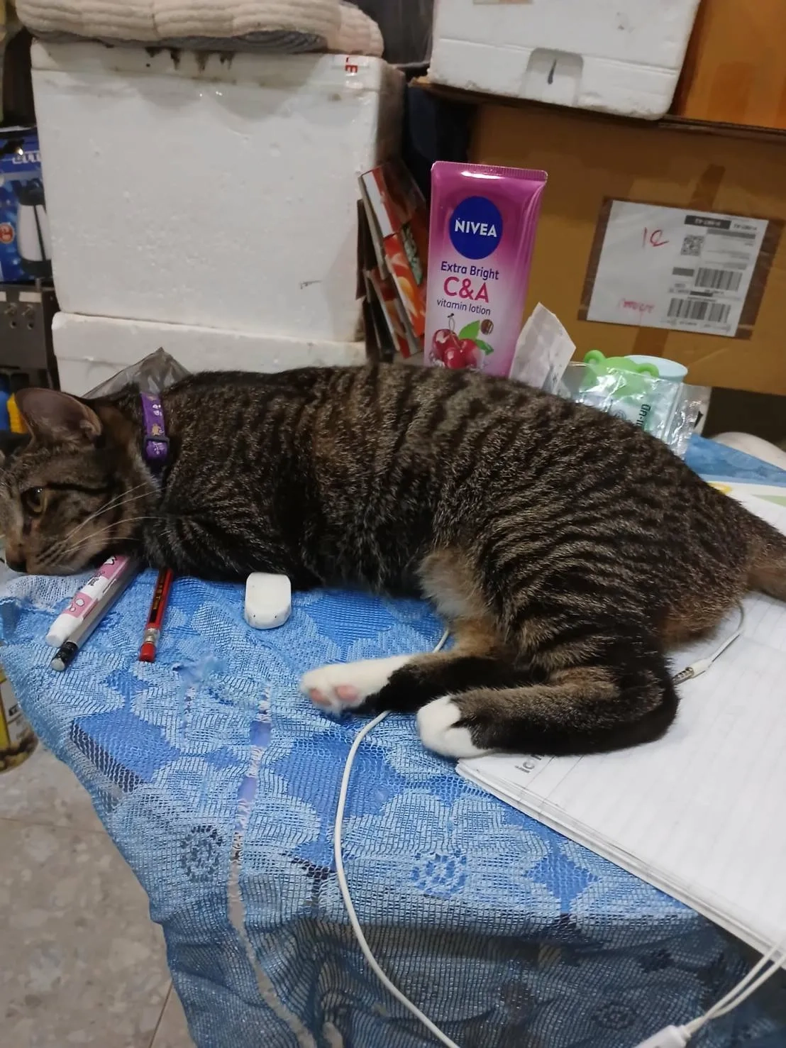 Paing paing - ซอยโคกมะขาม 2, ตำบลราไวย์