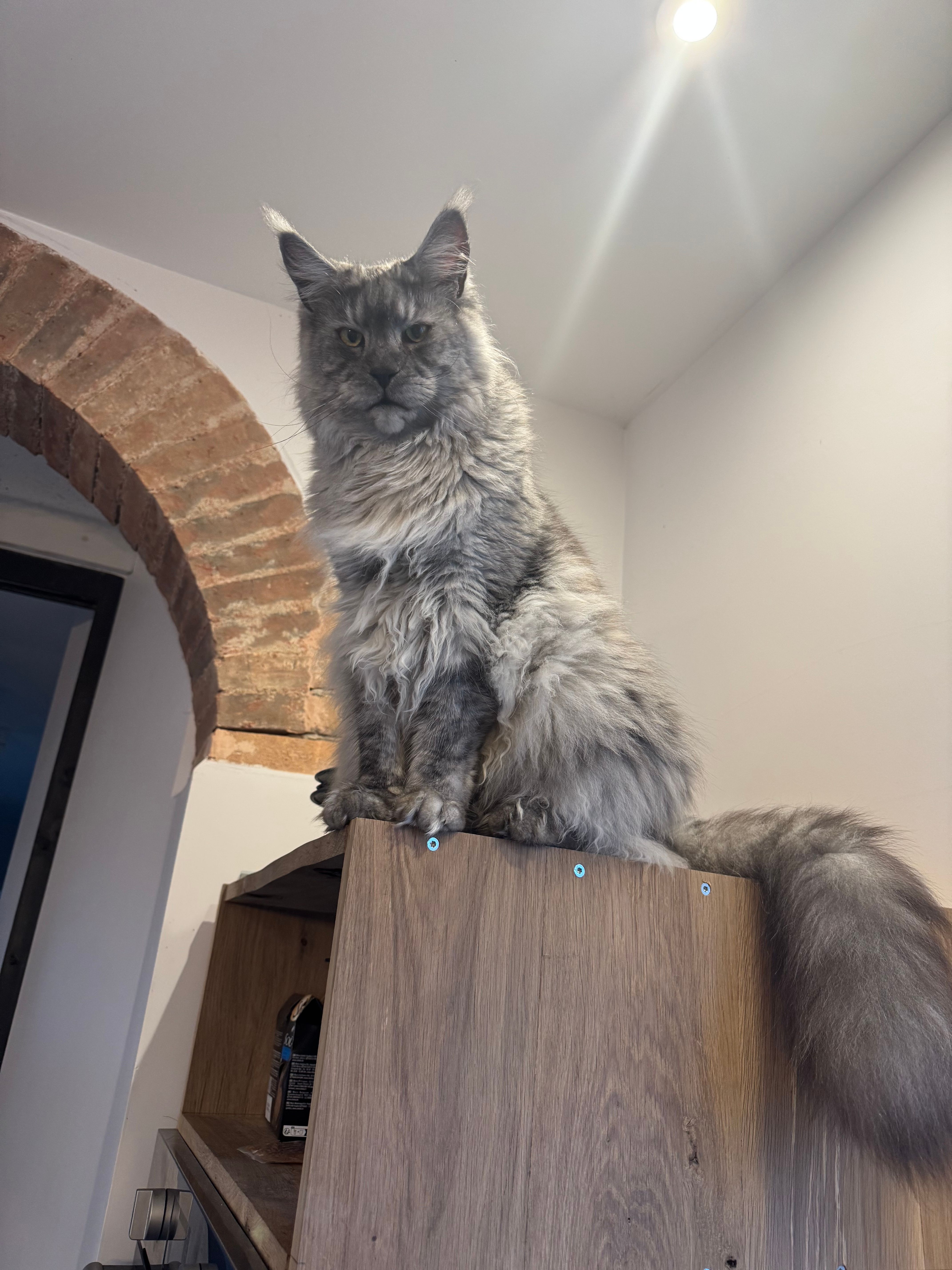 Urento - 1395 Route de Précigné, Morannes-sur-Sarthe-Daumeray