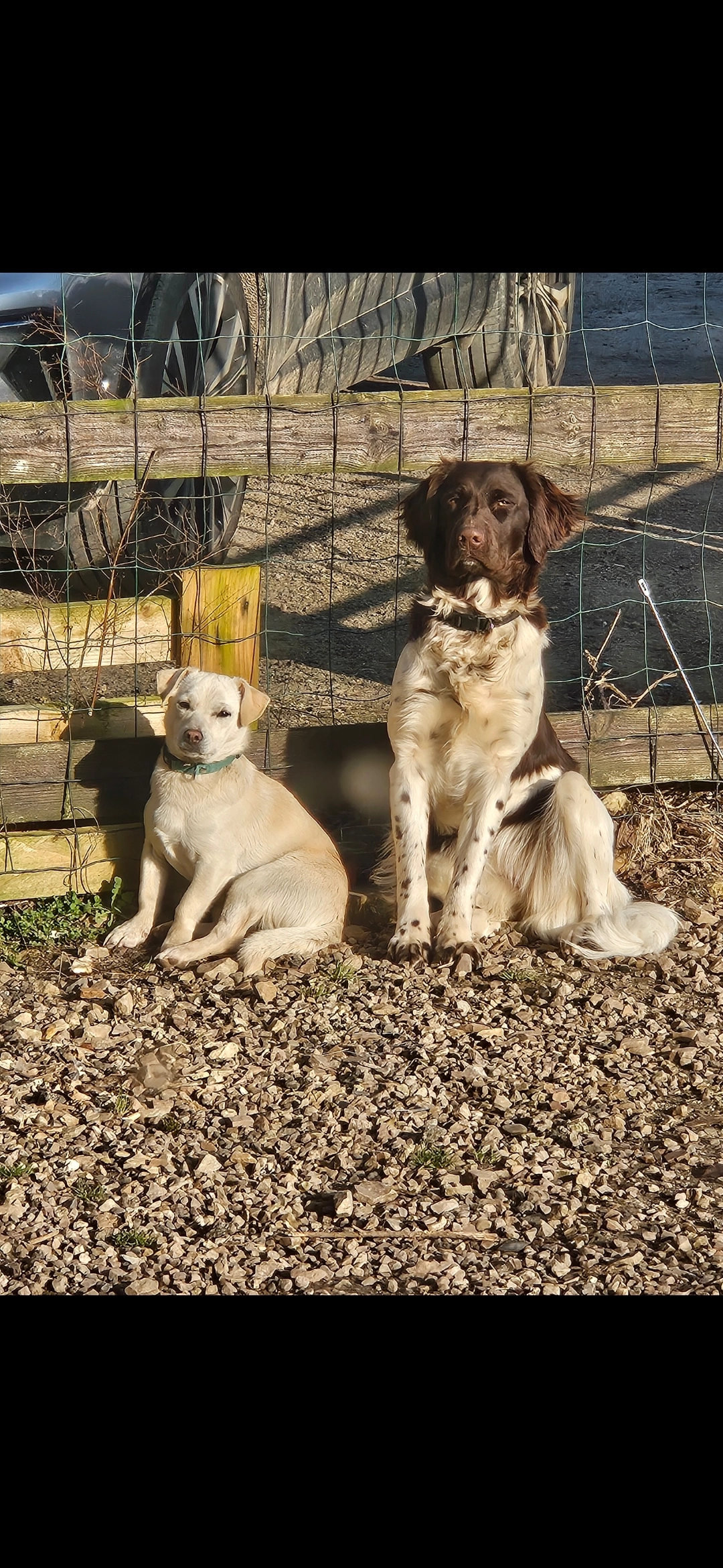 Vicky et bouboule  - Berville, Saint-Pierre-en-Auge
