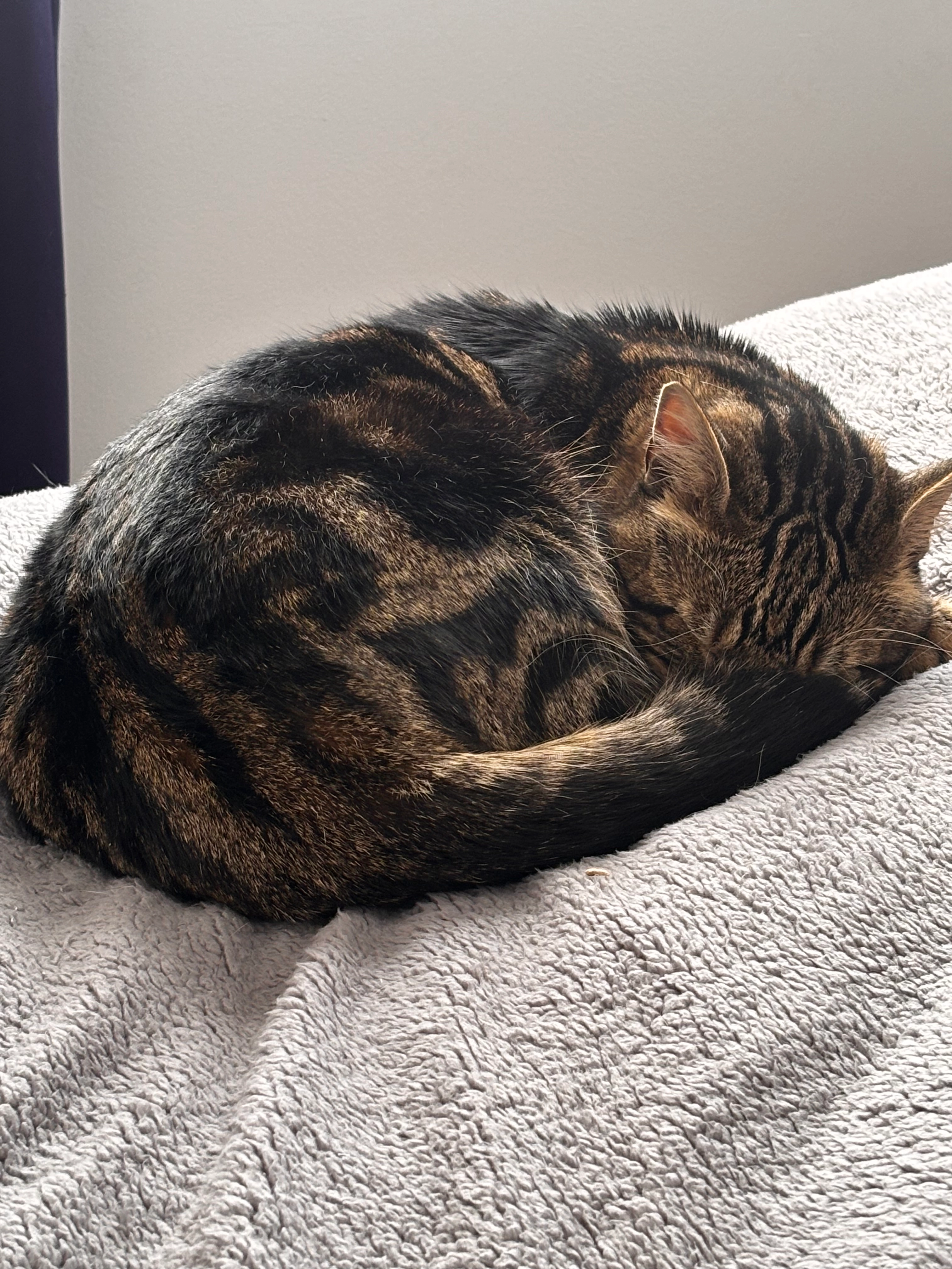 Blue - NP19 0, Somerton