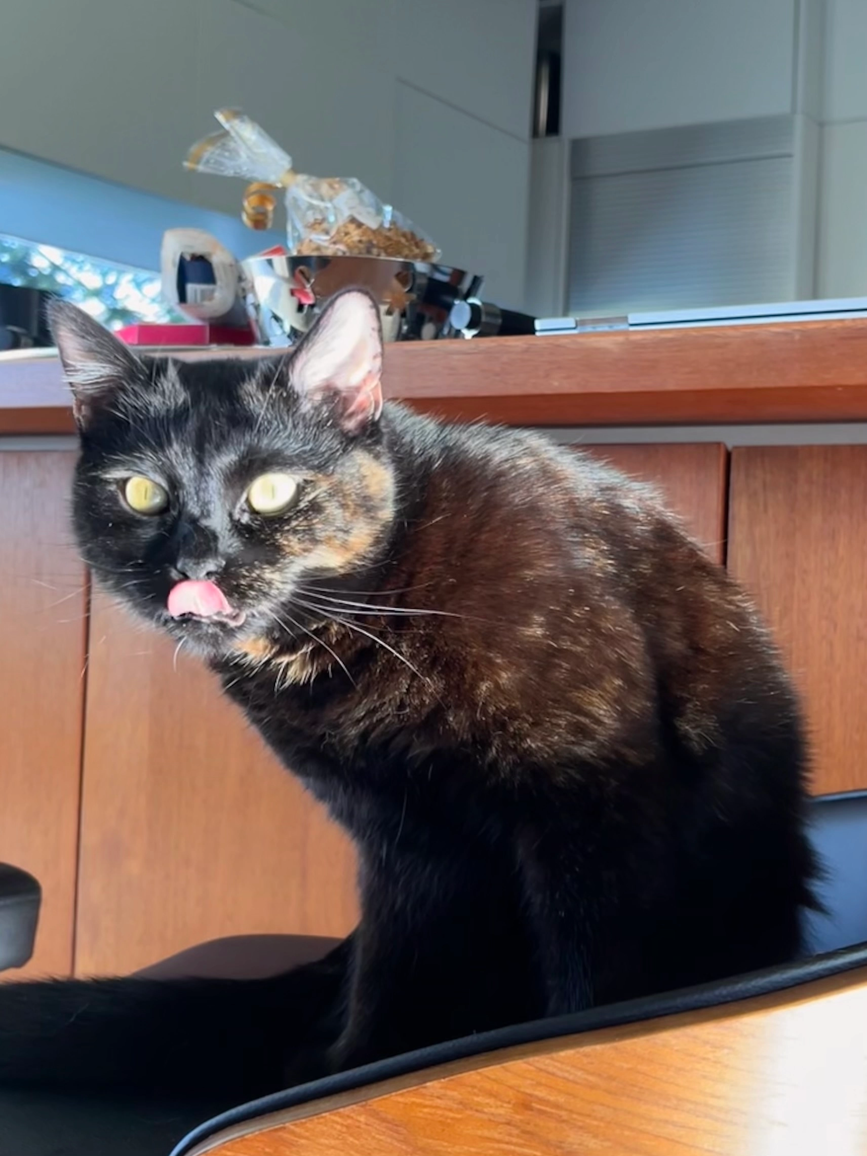 Günni - Lindweg, Graz