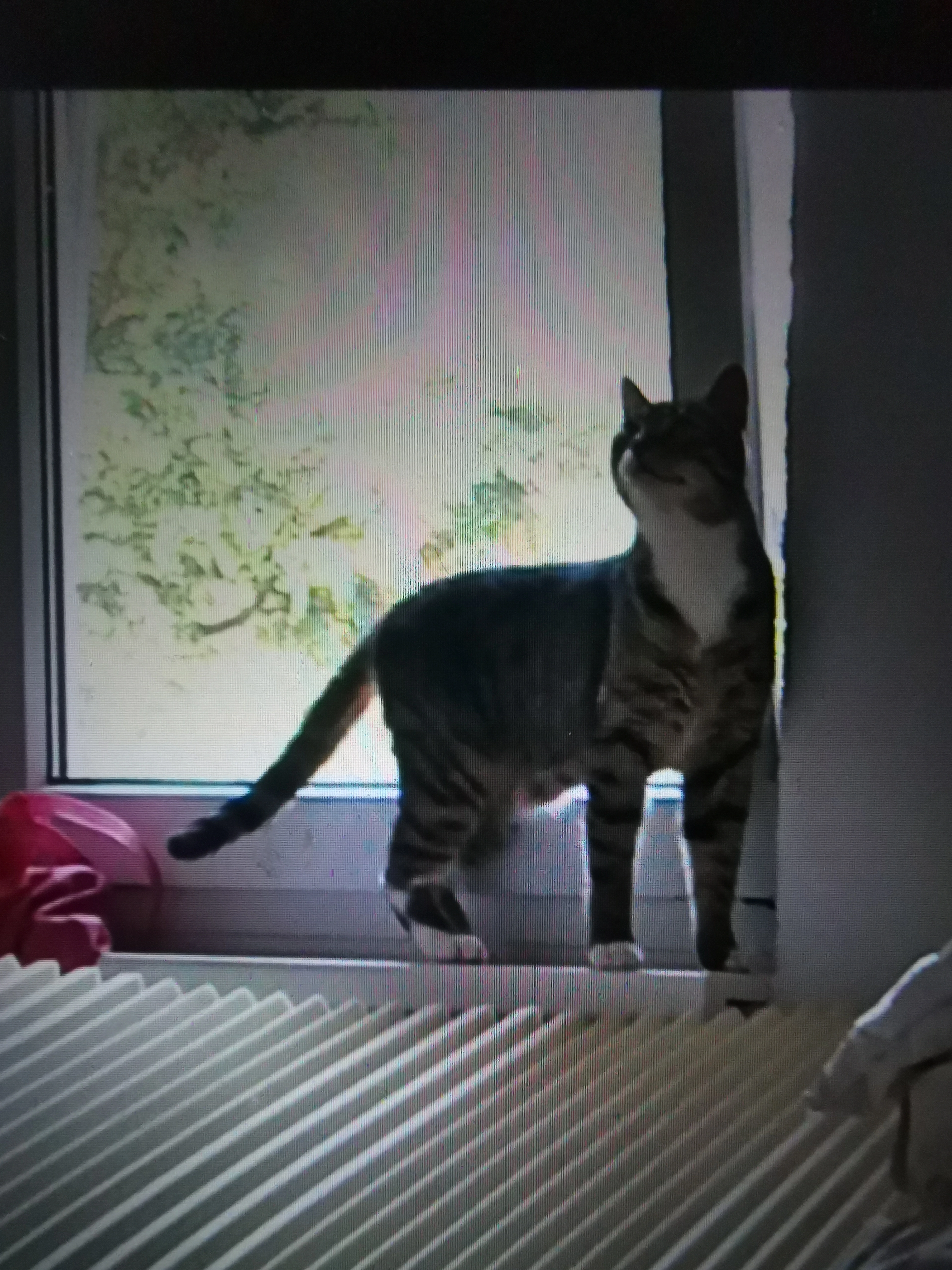 Jumpi - Asternweg 51, Leipzig