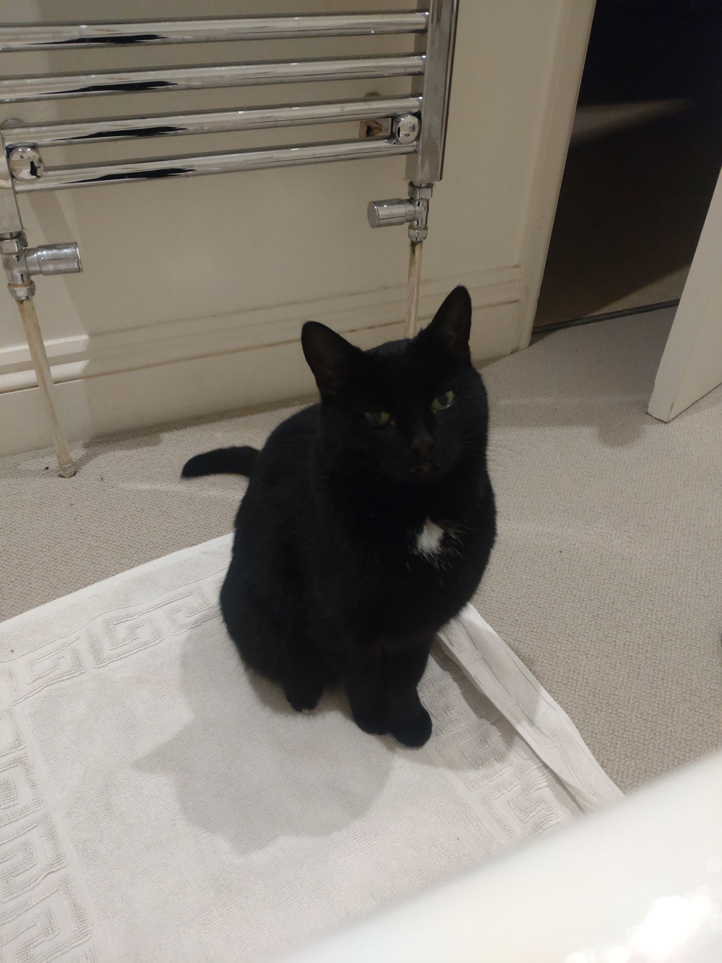 Valentine - Longparish Road, Andover