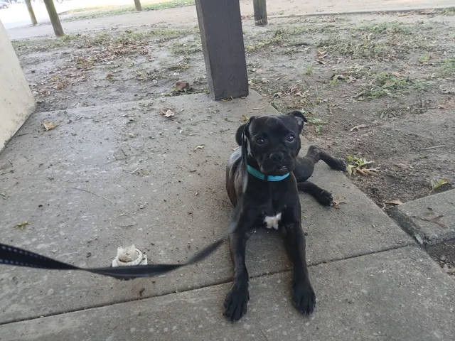 King - Central City Boulevard, Galveston