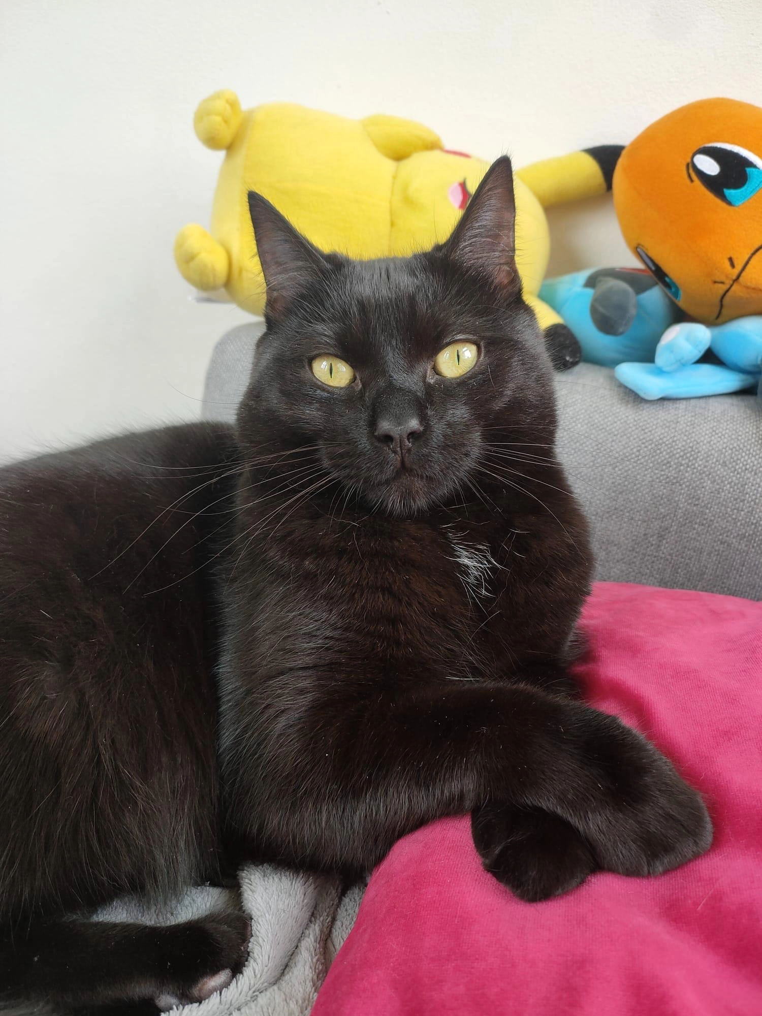 Hinata - Cosunpark, Breda