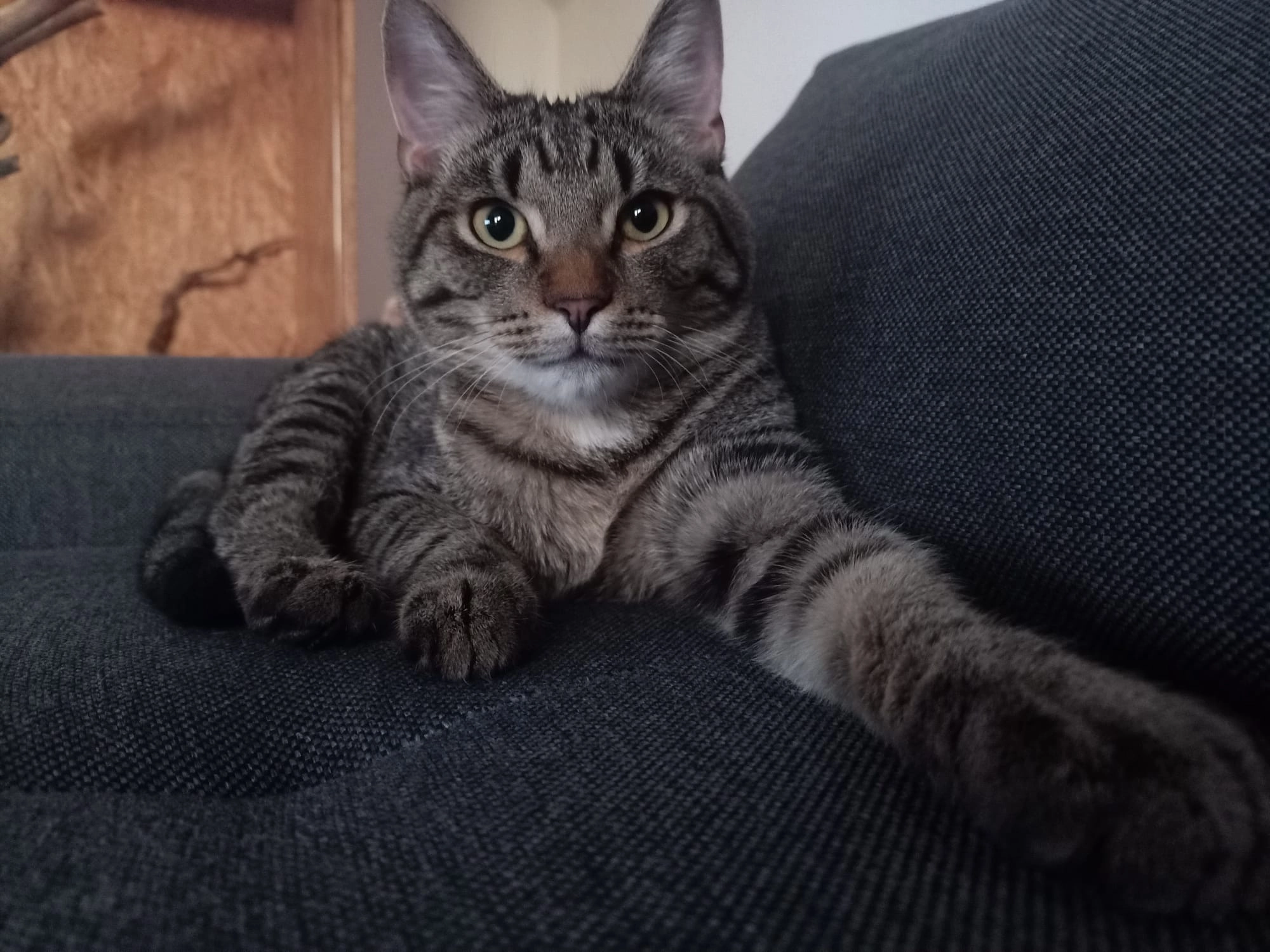 Wambo - Lisztstraße, Geisenhausen