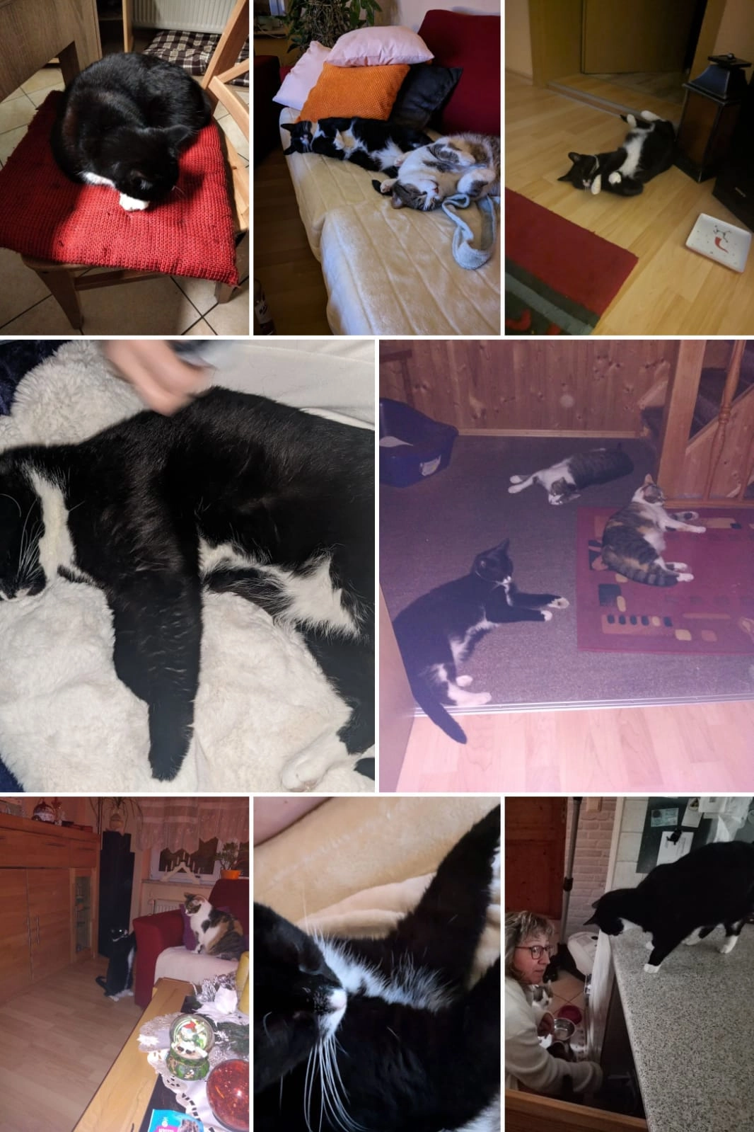 Susi - Gartenstraße, Bernburg