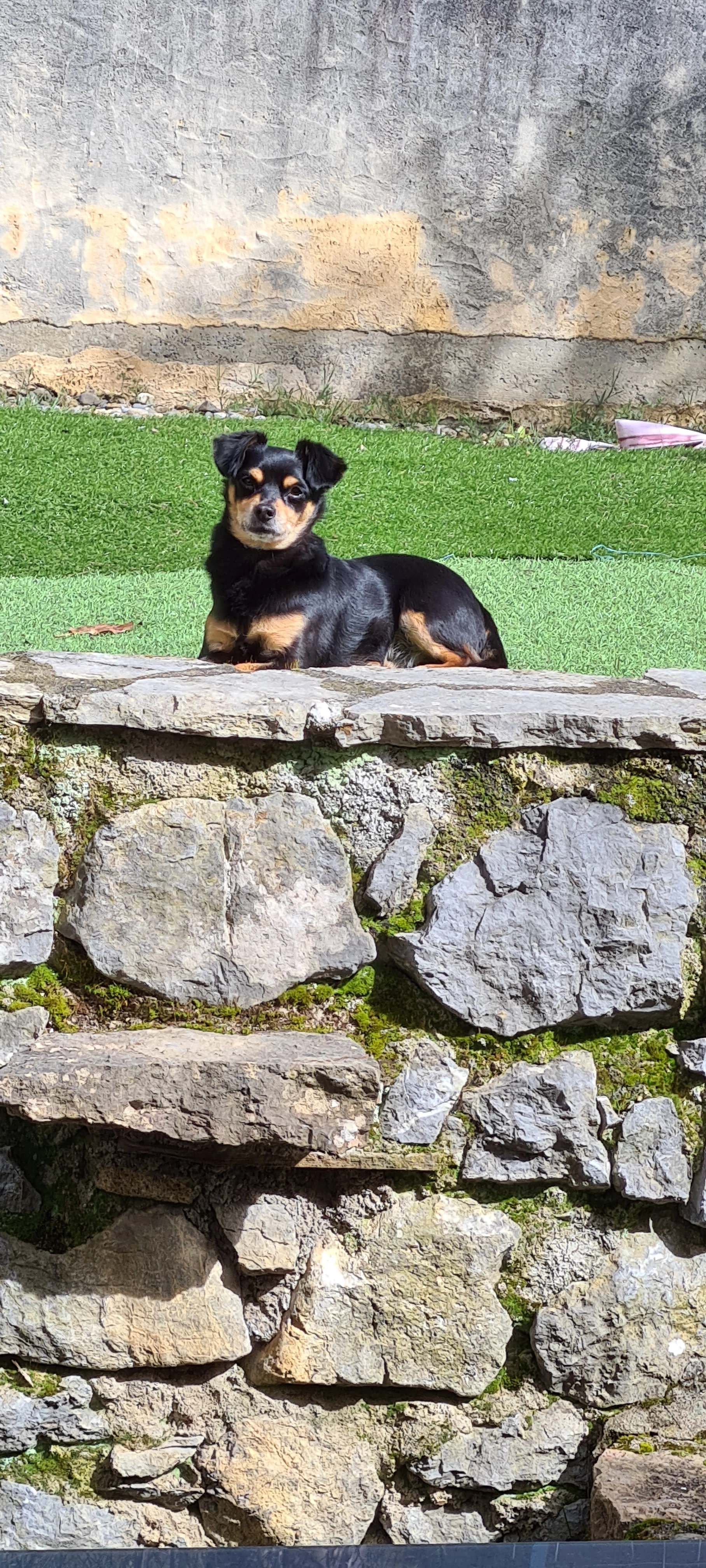 Roby - Chemin Pes, La Seyne-sur-Mer