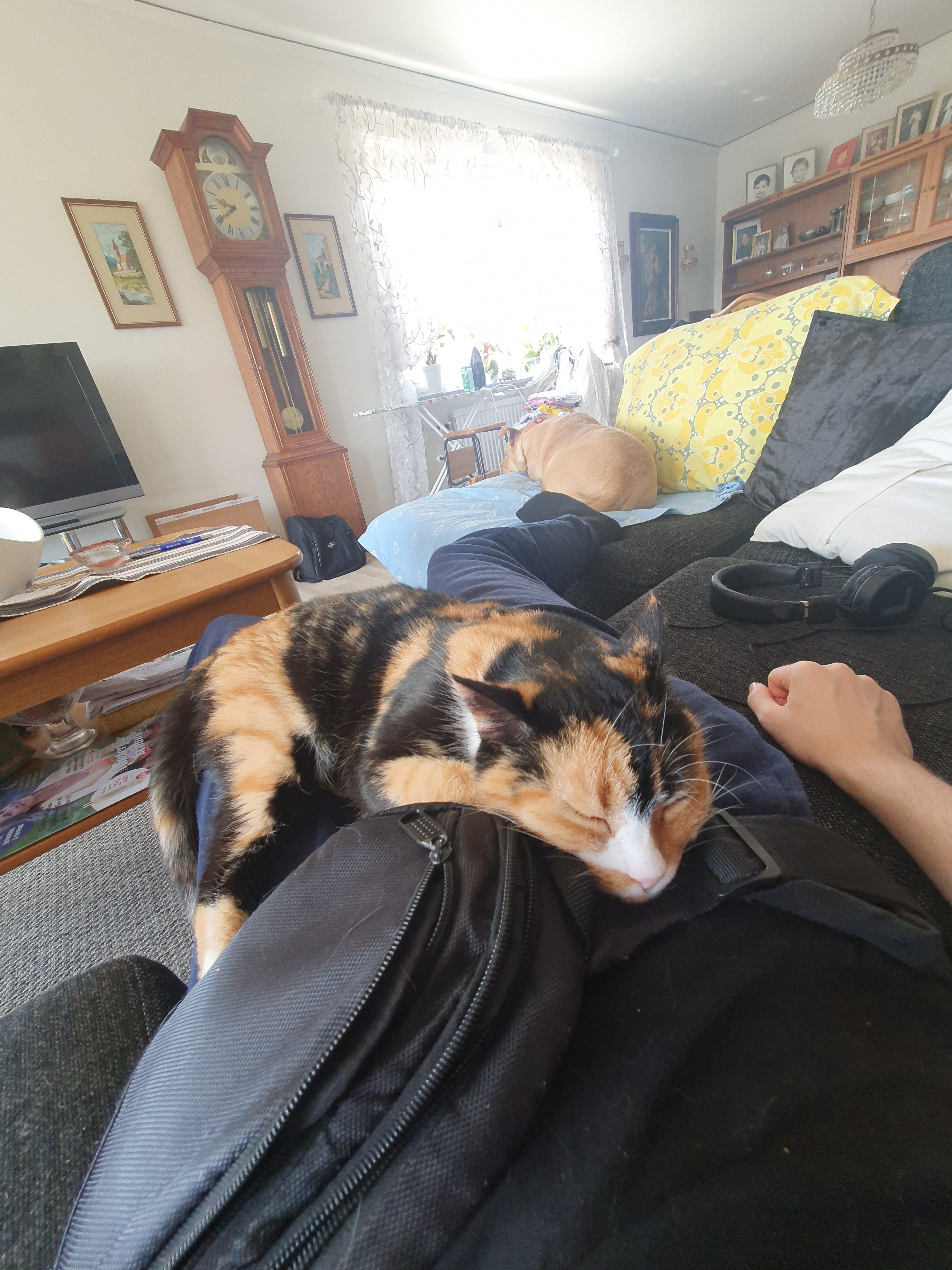 Lucy - Skogsstigen, Karlshamn