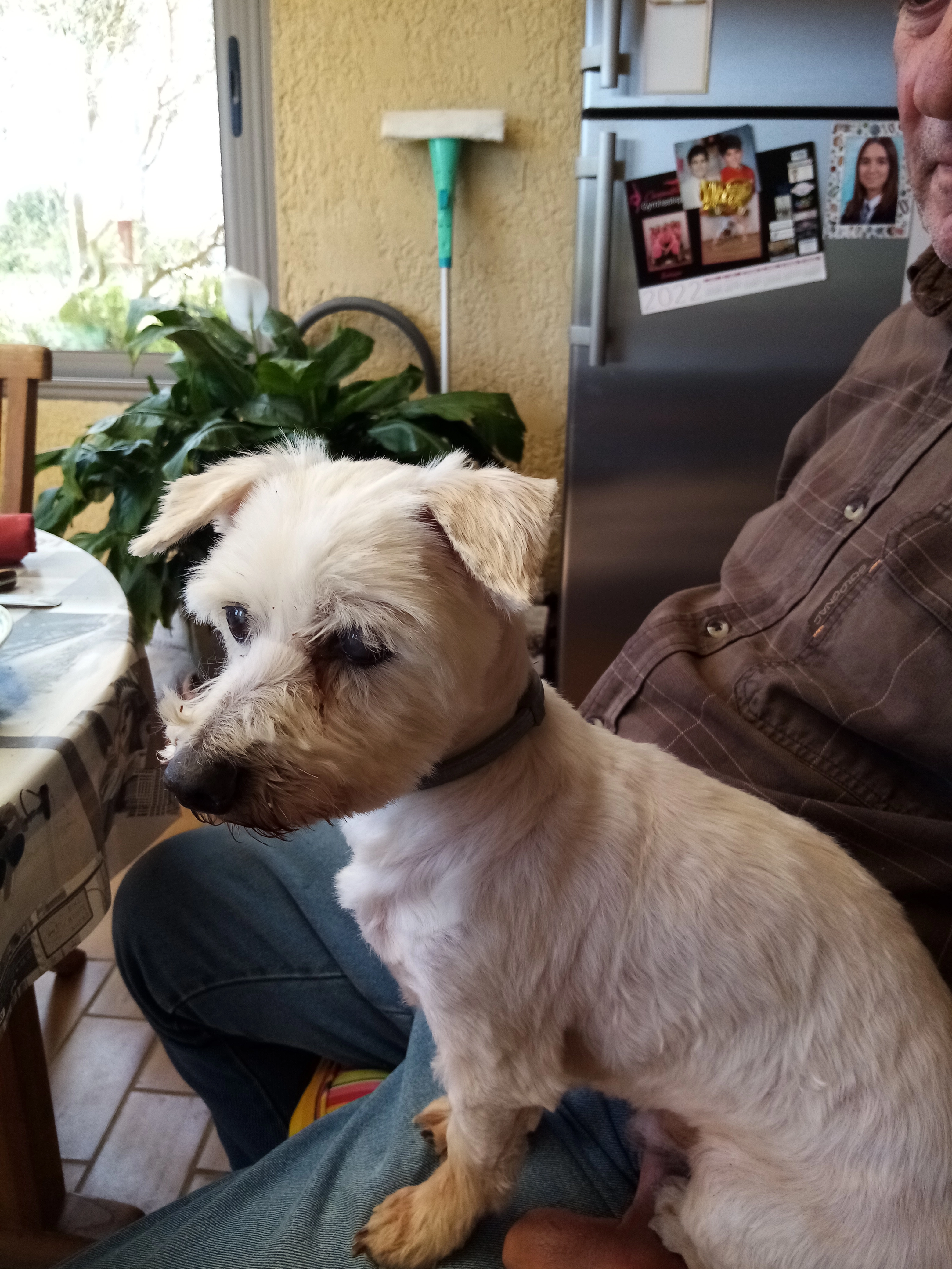 éros dit filou  - 6 Chemin de Chantepleure, Bédarrides