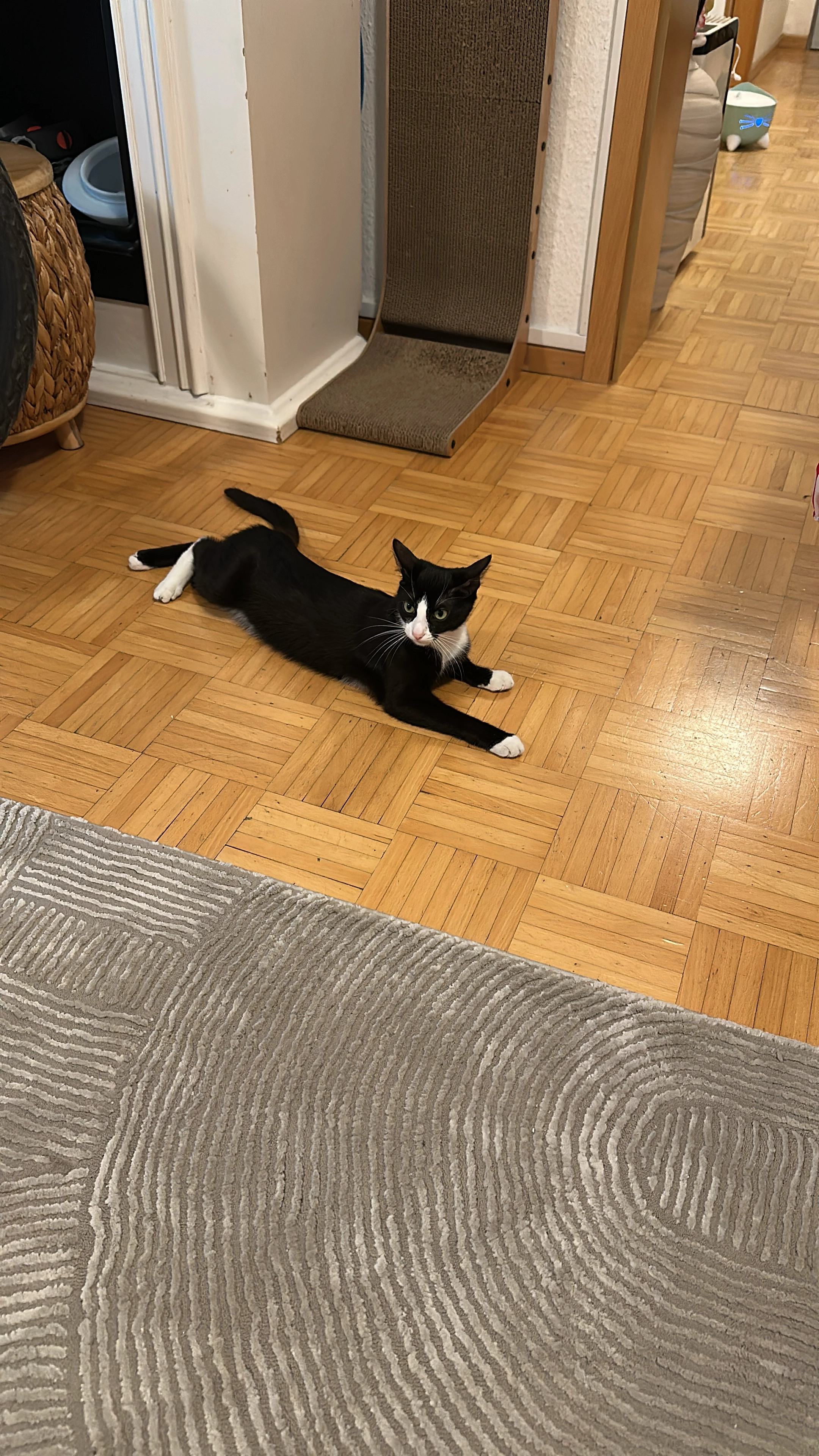 Lucy - Am Amtsgraben 1, Berlin