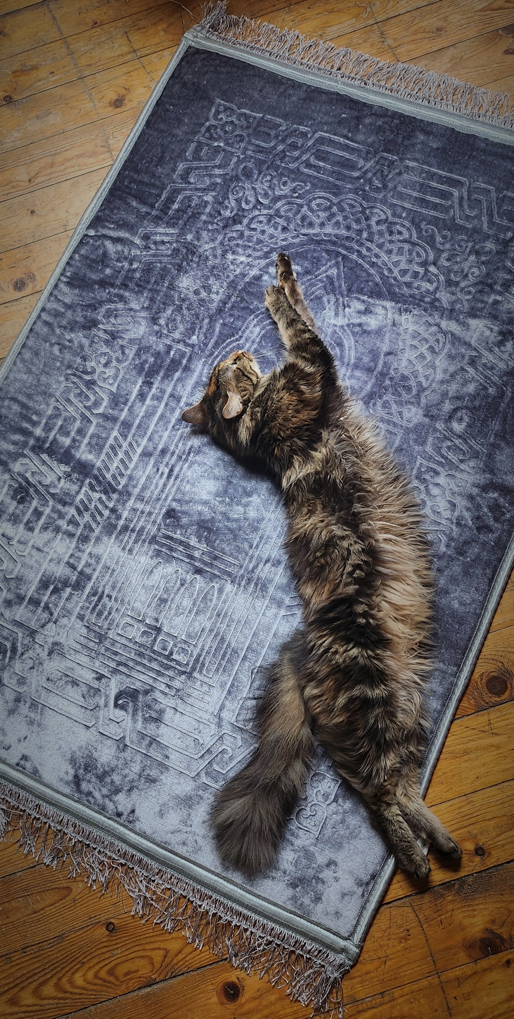 Sky - Maatheide, Lommel