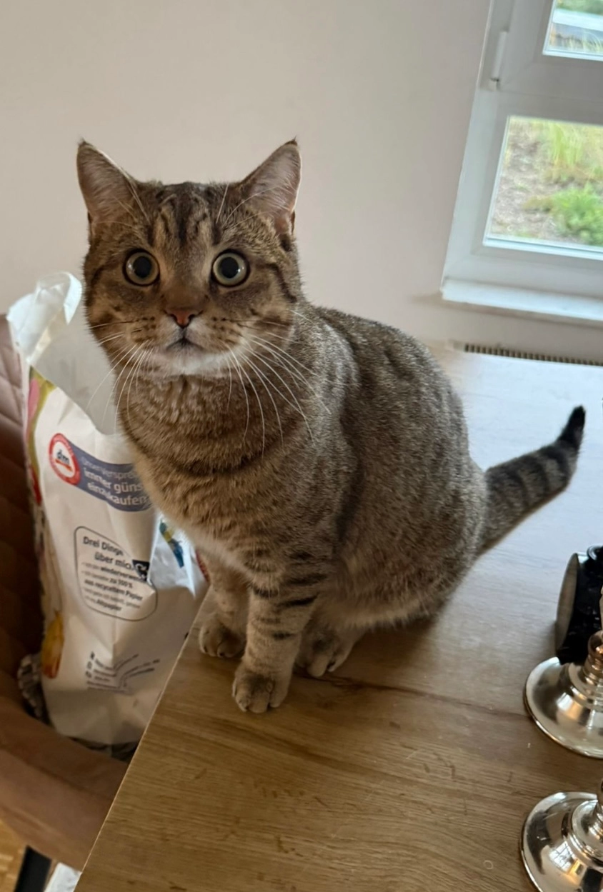 Aslan  - Feldbank, Dortmund