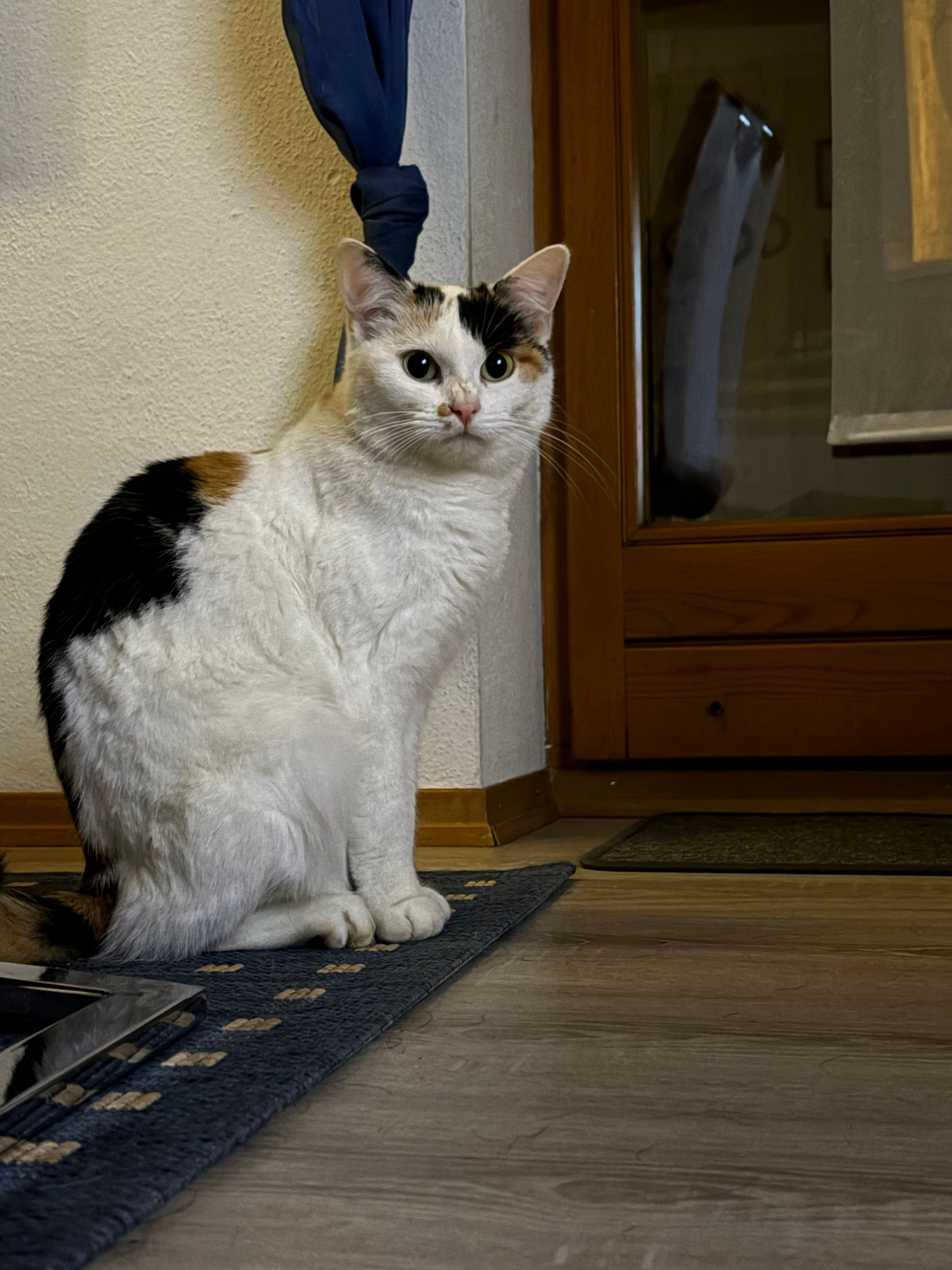 Charlie - Birkenstraße, Siegenburg