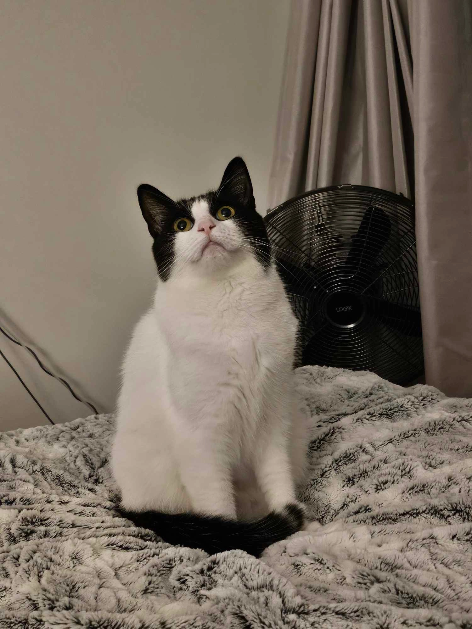 Scrunch - Merton Croft, Evesham