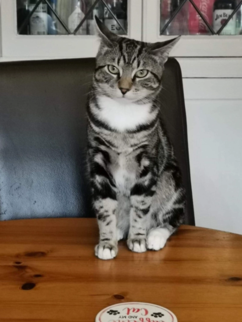 Erik - Kingston Road, Epsom