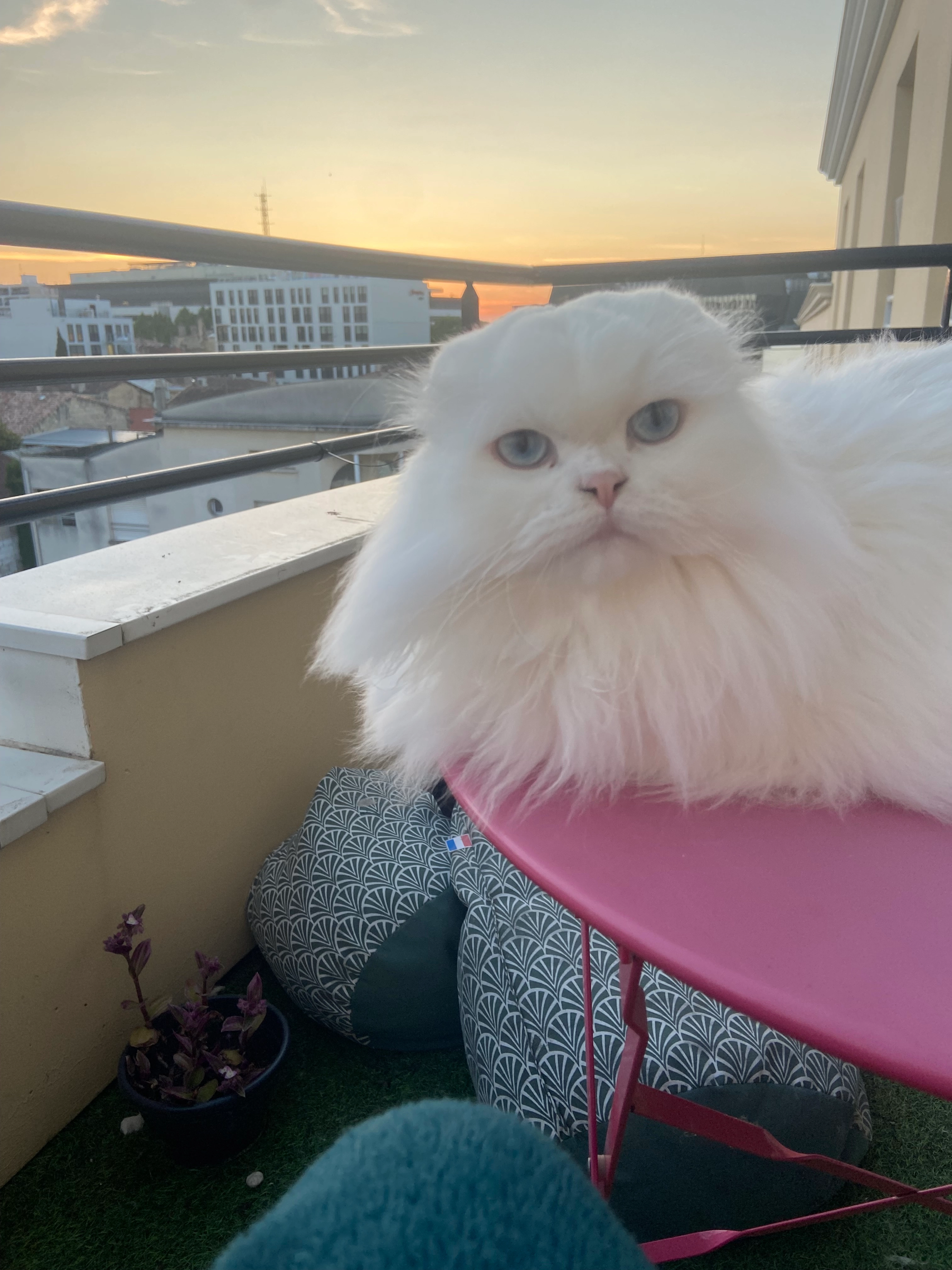 poke - D 1089, Abzac